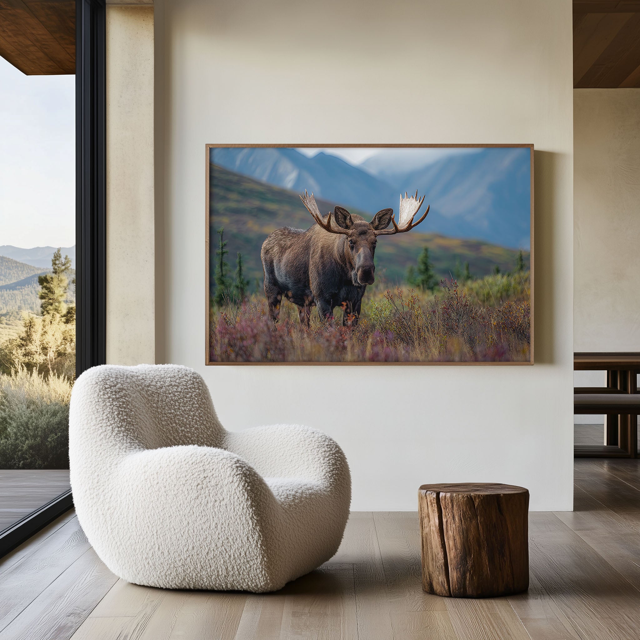 Northern Monarch – Denali Moose Fine Art Wildlife Print