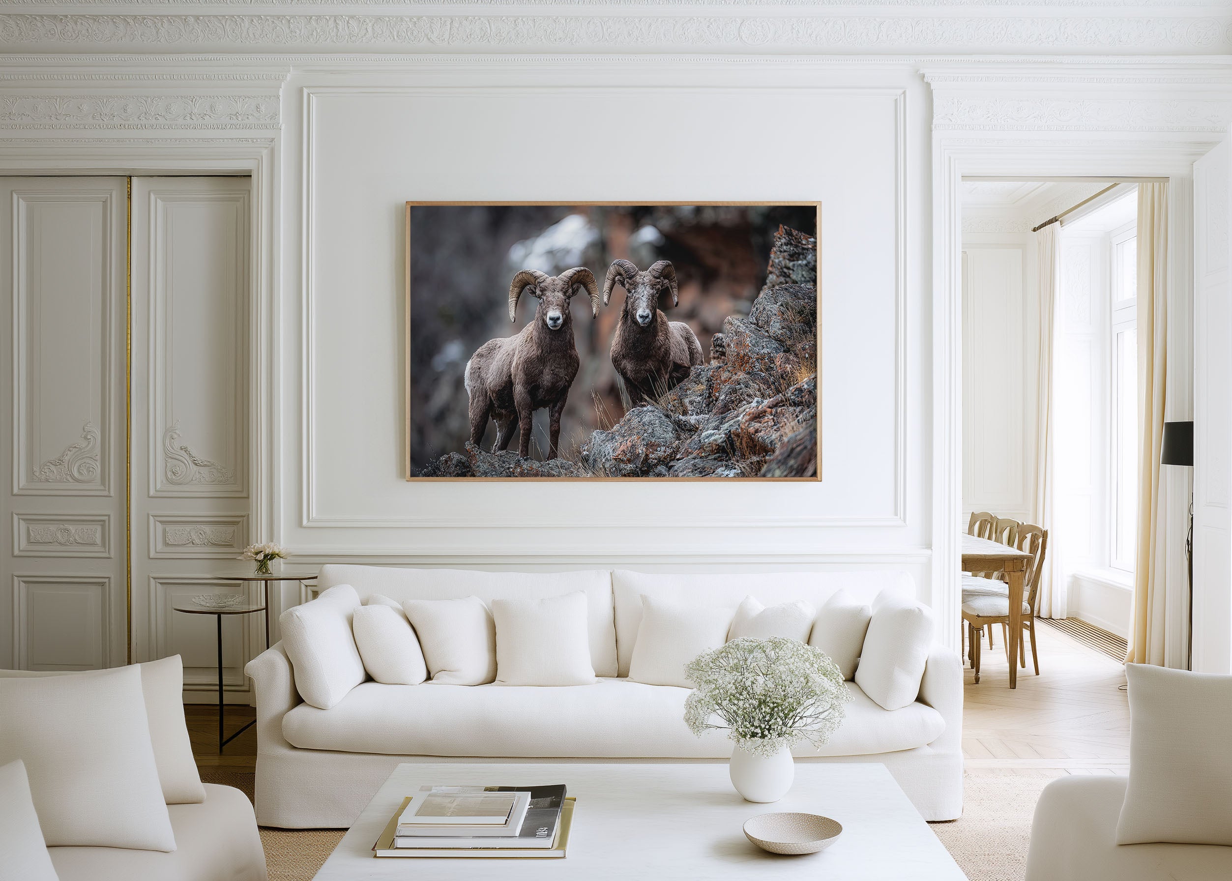 Bighorn Sheep Wall Art – Rocky Mountain Wildlife Photography Print