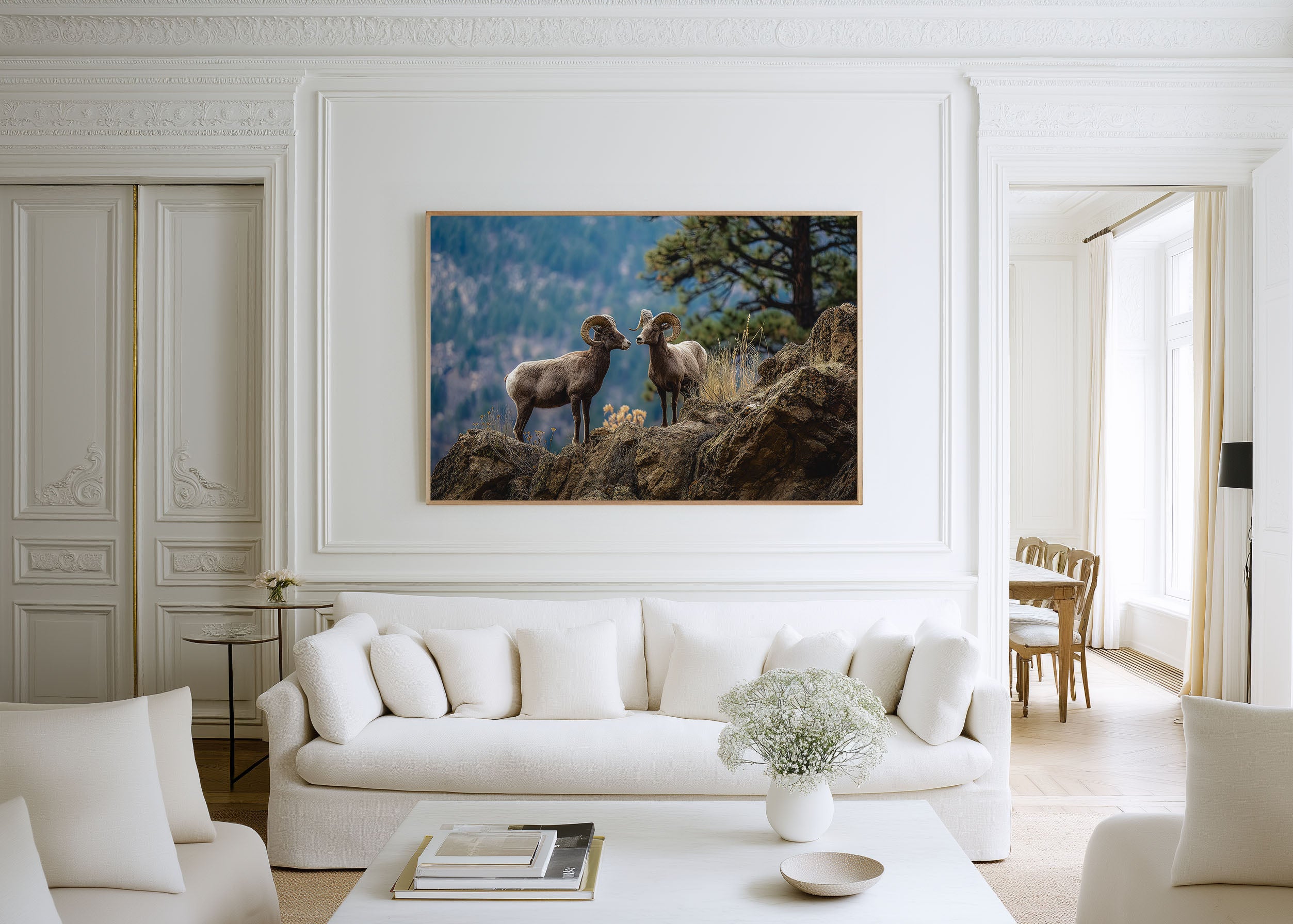 Mountain Rams Wall Art – Rocky Wildlife Photography Print
