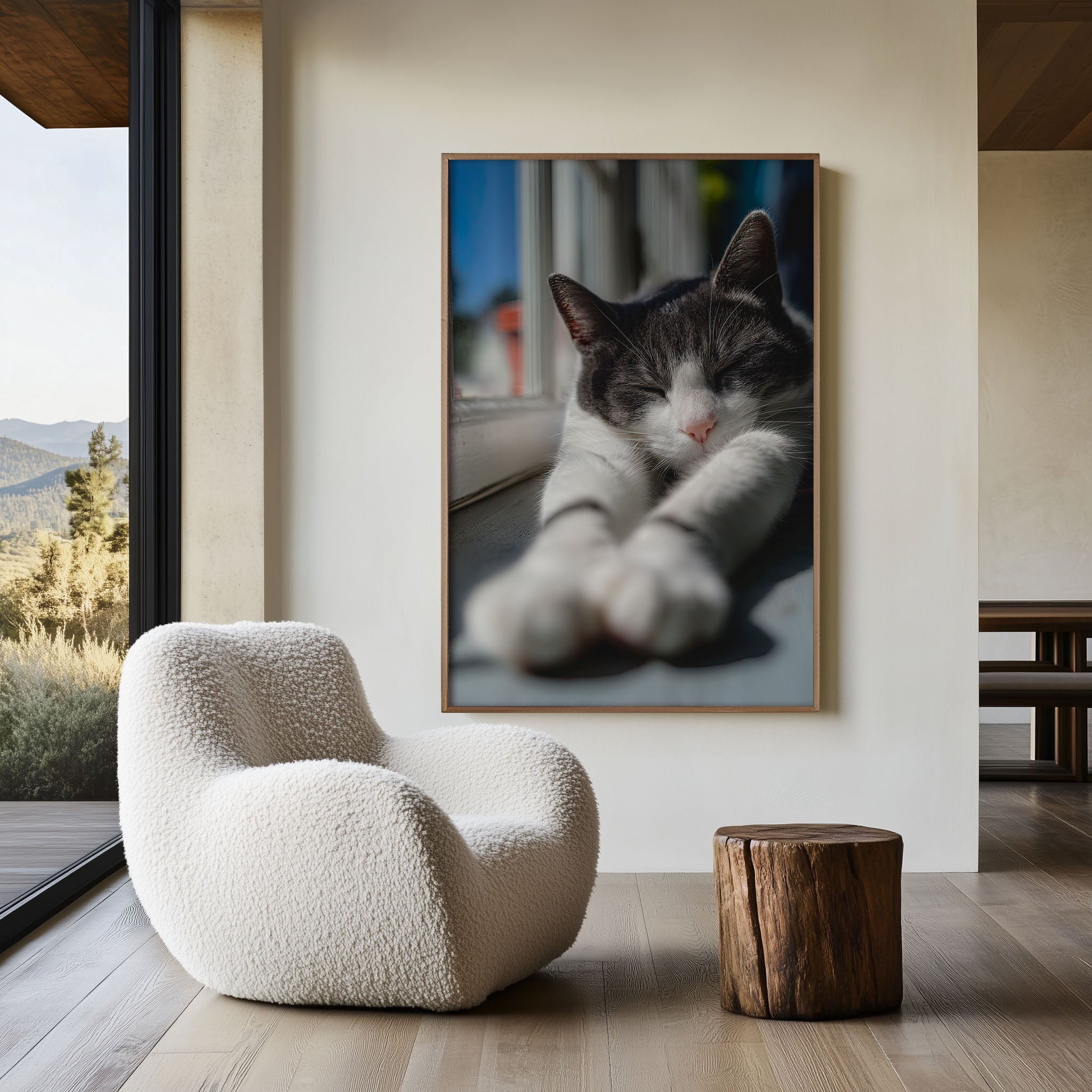 Sleeping Cat Sunbathing Wall Art | Cozy Grey & White Tabby Window Print | Cute Pet Photography Poster