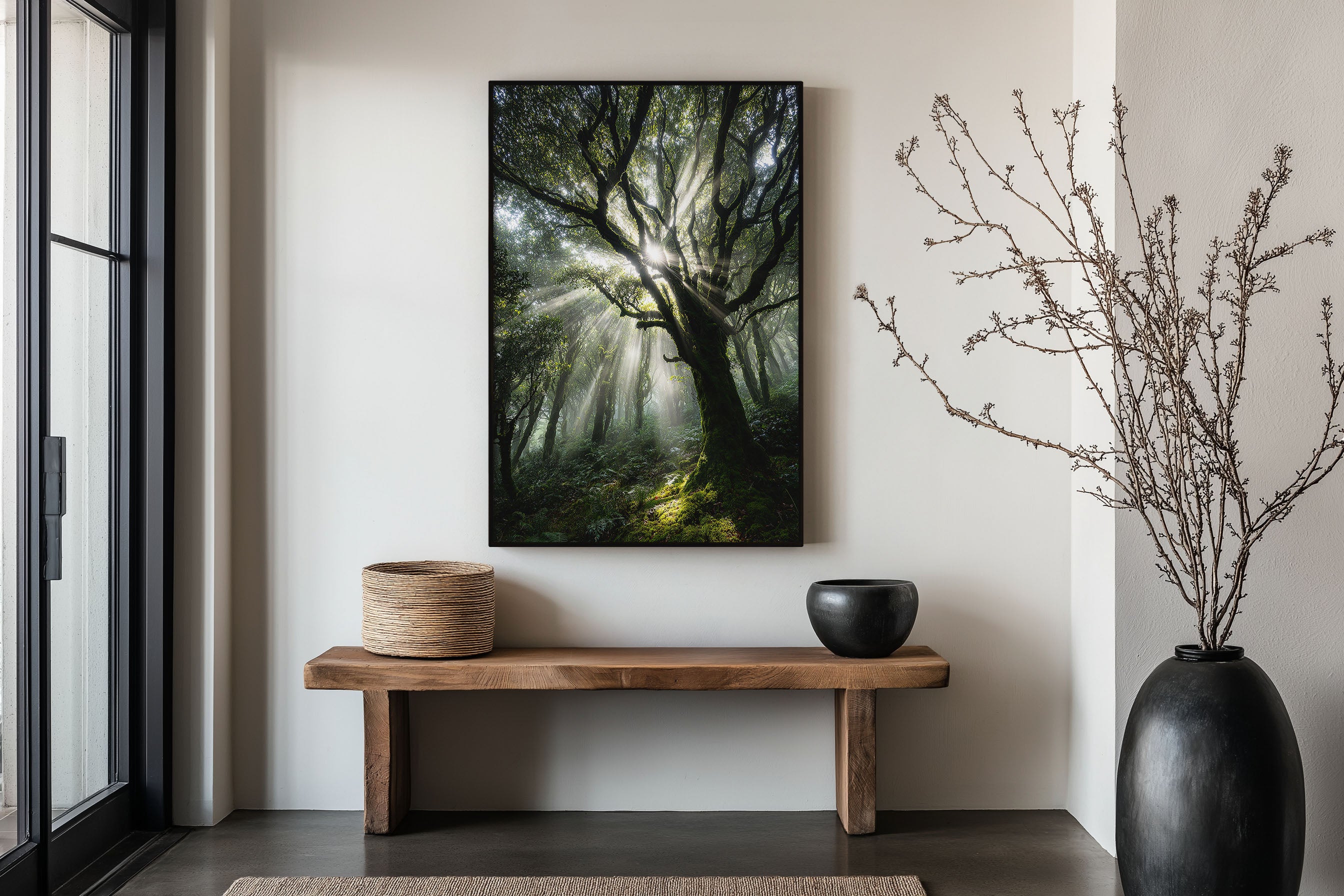 Enchanted Forest Sunbeam Print | Misty Woodland Light Wall Art | Ancient Tree Nature Photography