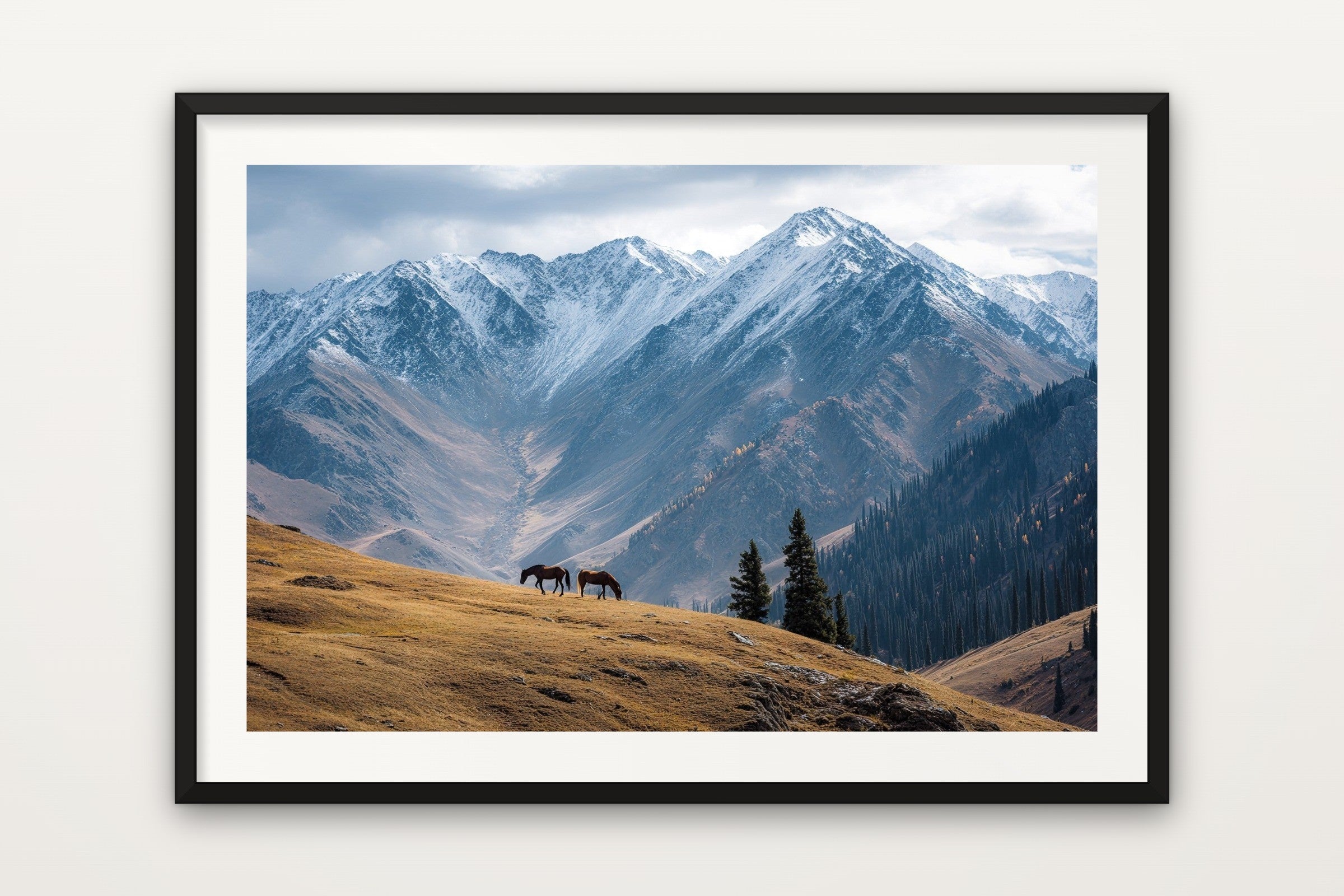 Wild Horses