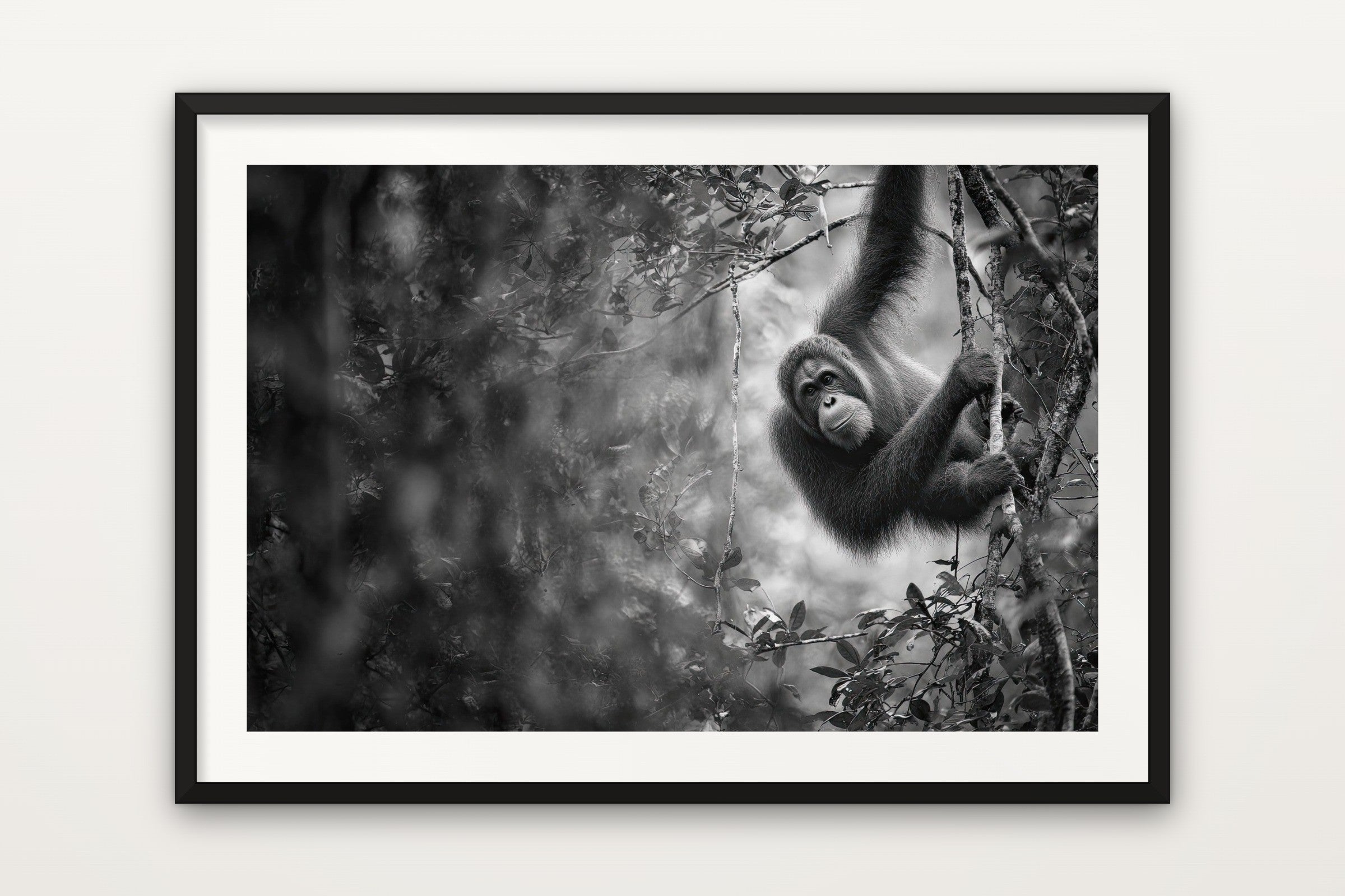 Orangutan II