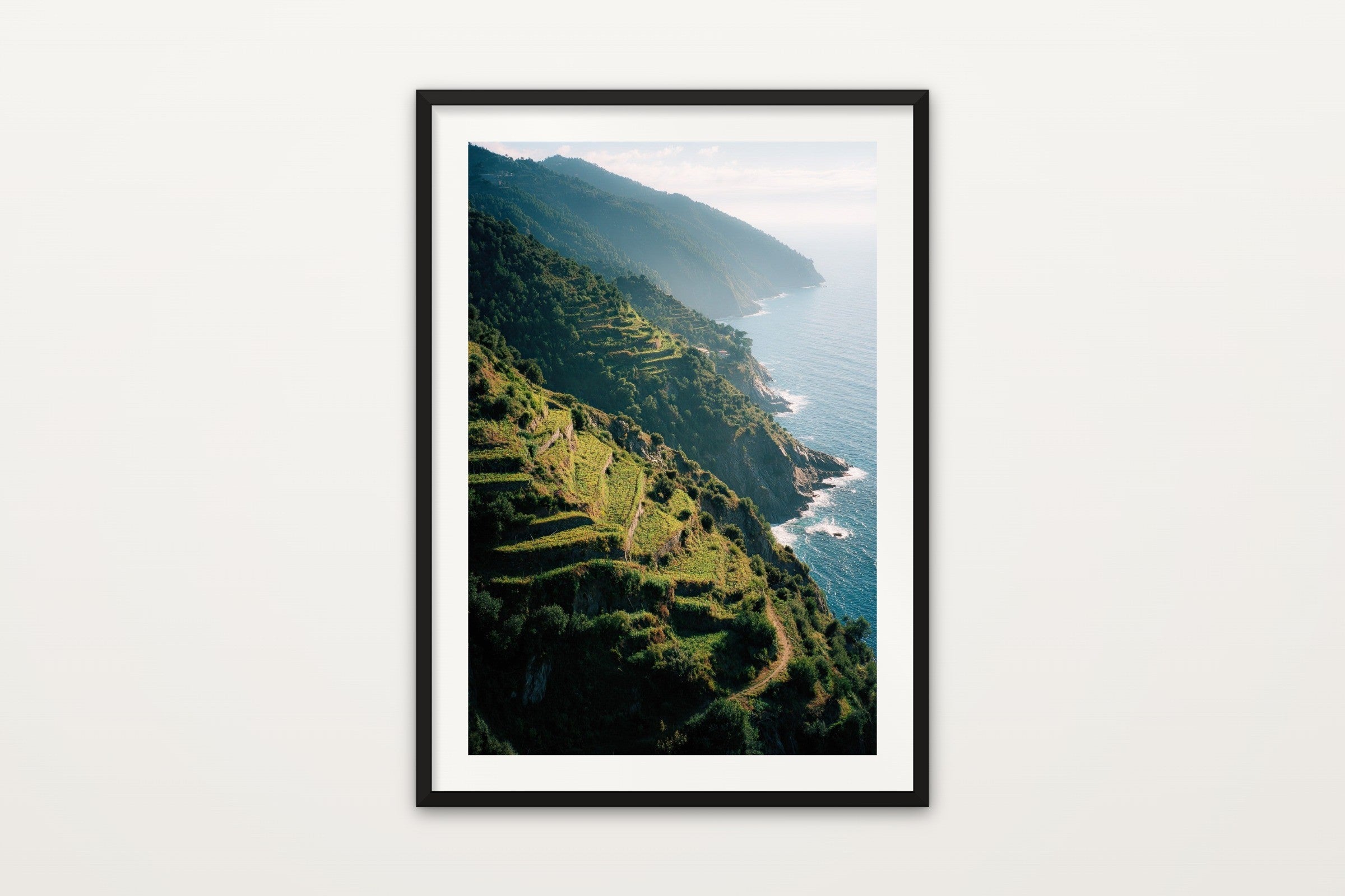 Cinque Terre Vineyards