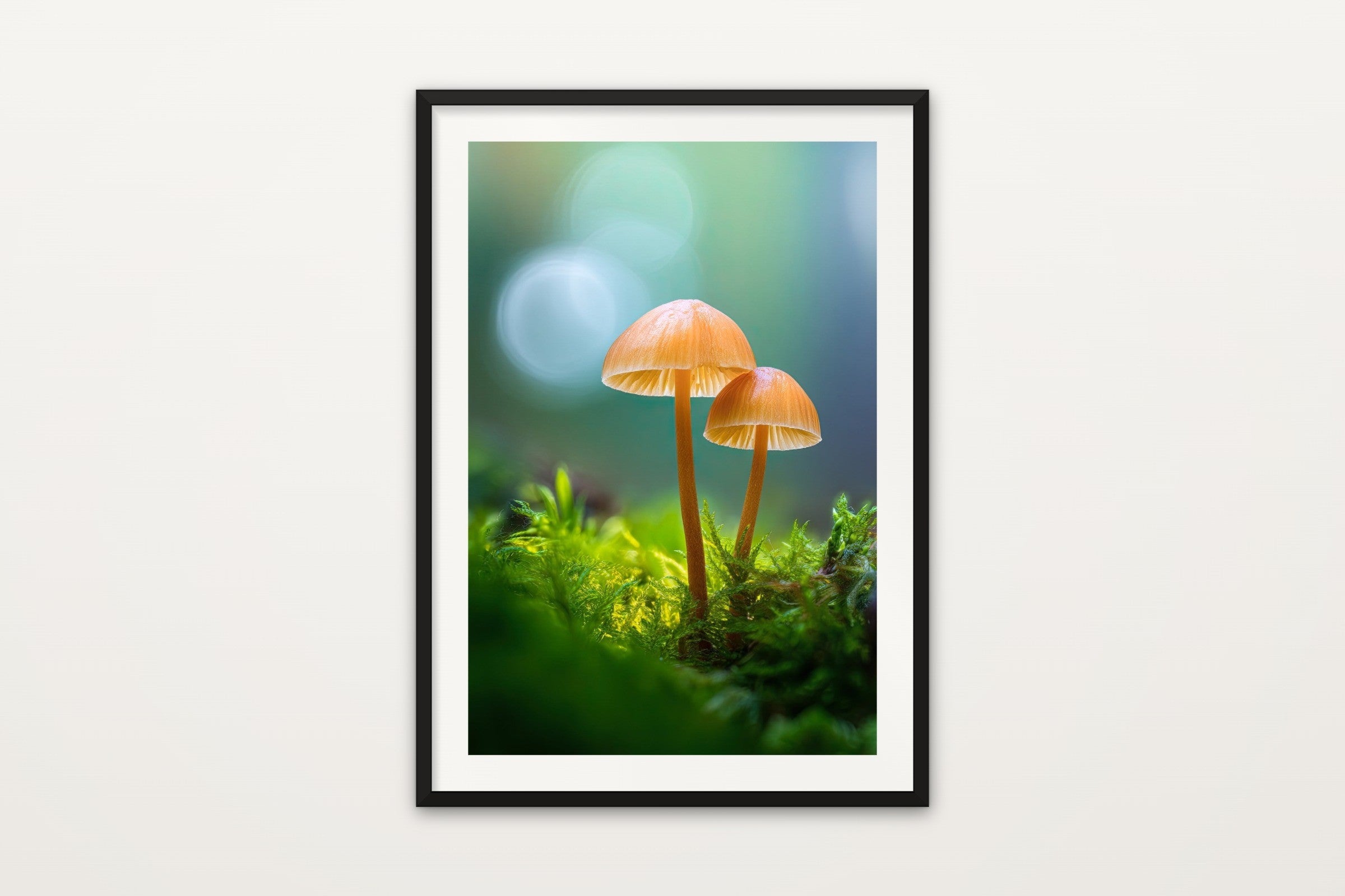 Forest Mushroom II