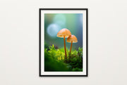 Forest Mushroom II