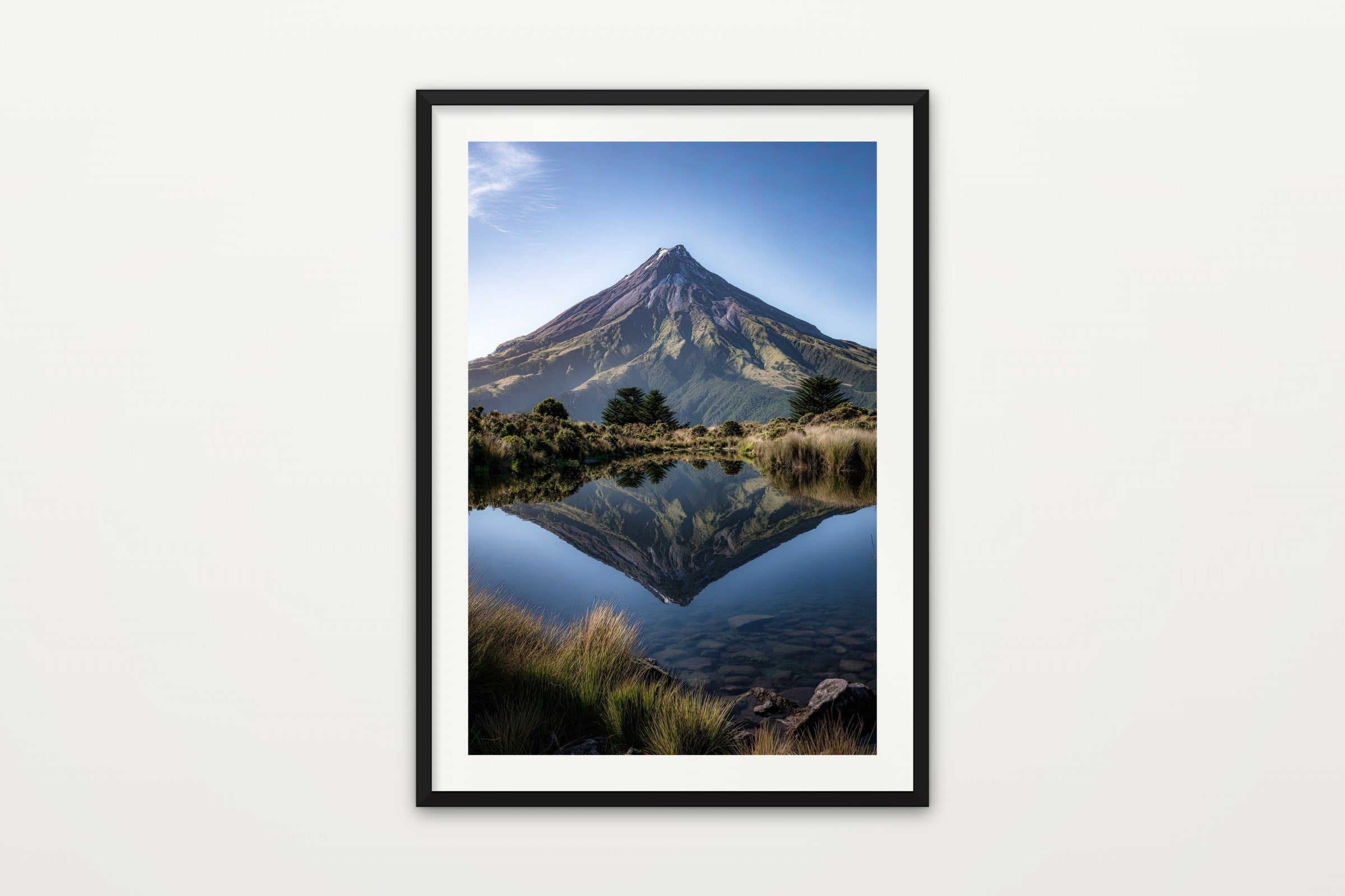 Taranaki Symmetry