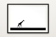Giraffe on the Horizon