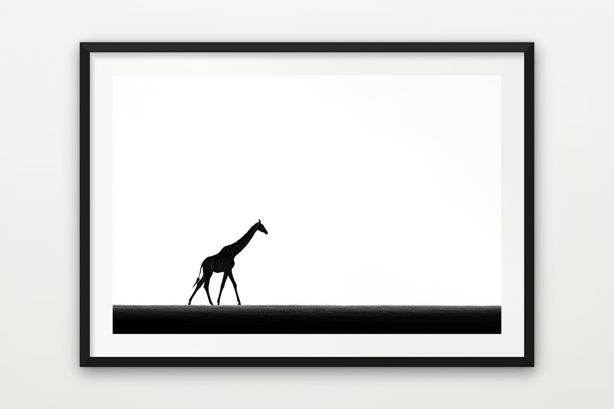 Giraffe on the Horizon wall art print – A single giraffe walking on the horizon, in minimalist black and white