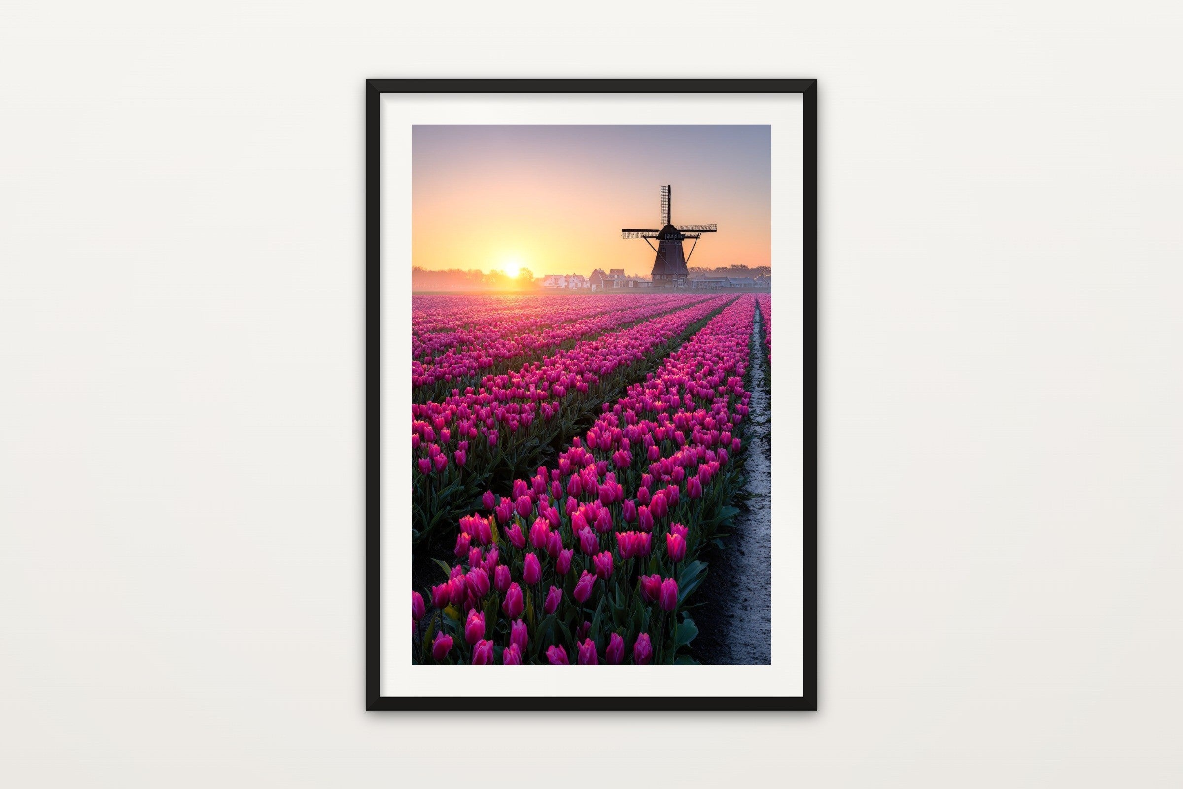 Tulip Field at Sunrise