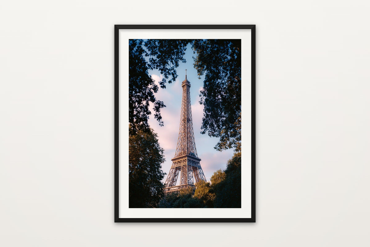 Eiffel Tower Through Trees wall art print – The Eiffel Tower through the trees of the Champ de Mars at dusk