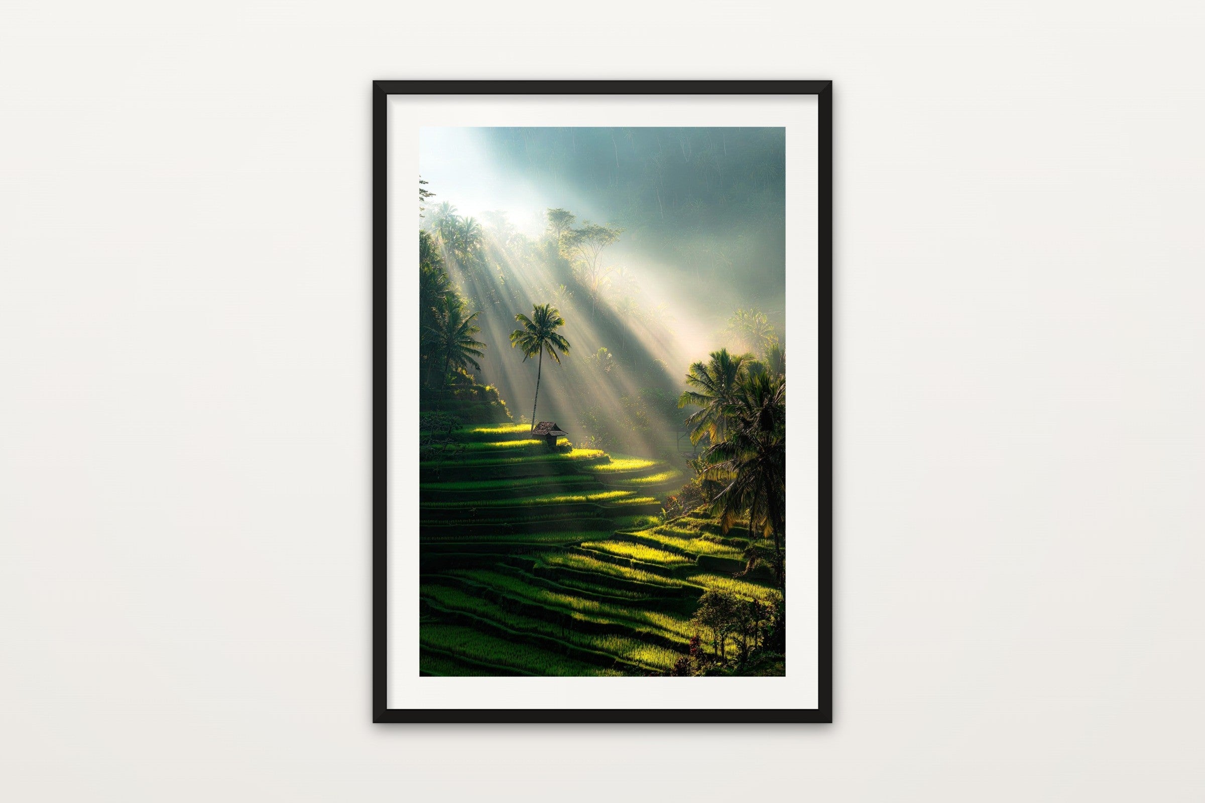 Ubud Sun Rays