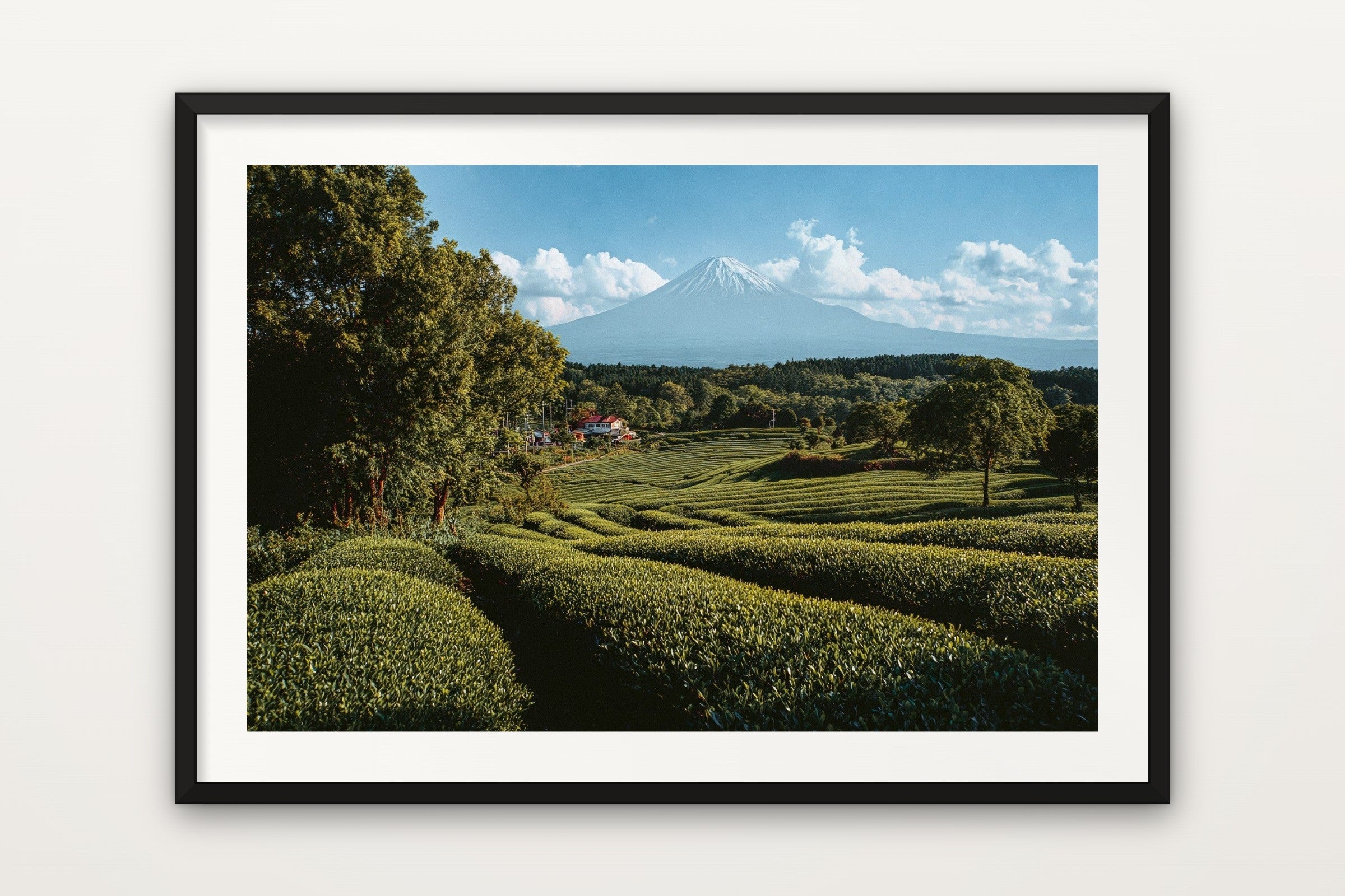 Mount Fuji II