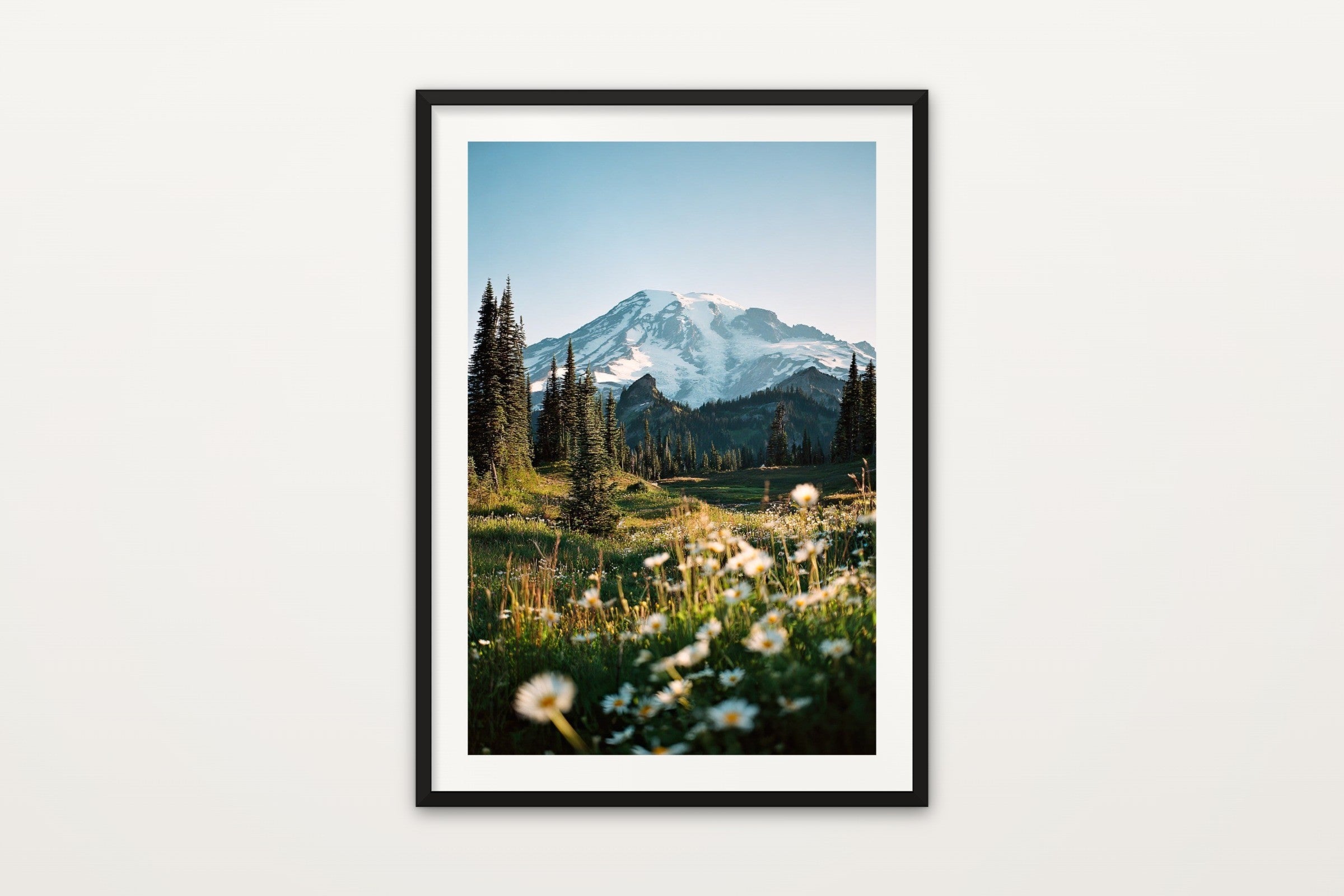 Rainier Wildflowers