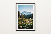 Rainier Wildflowers