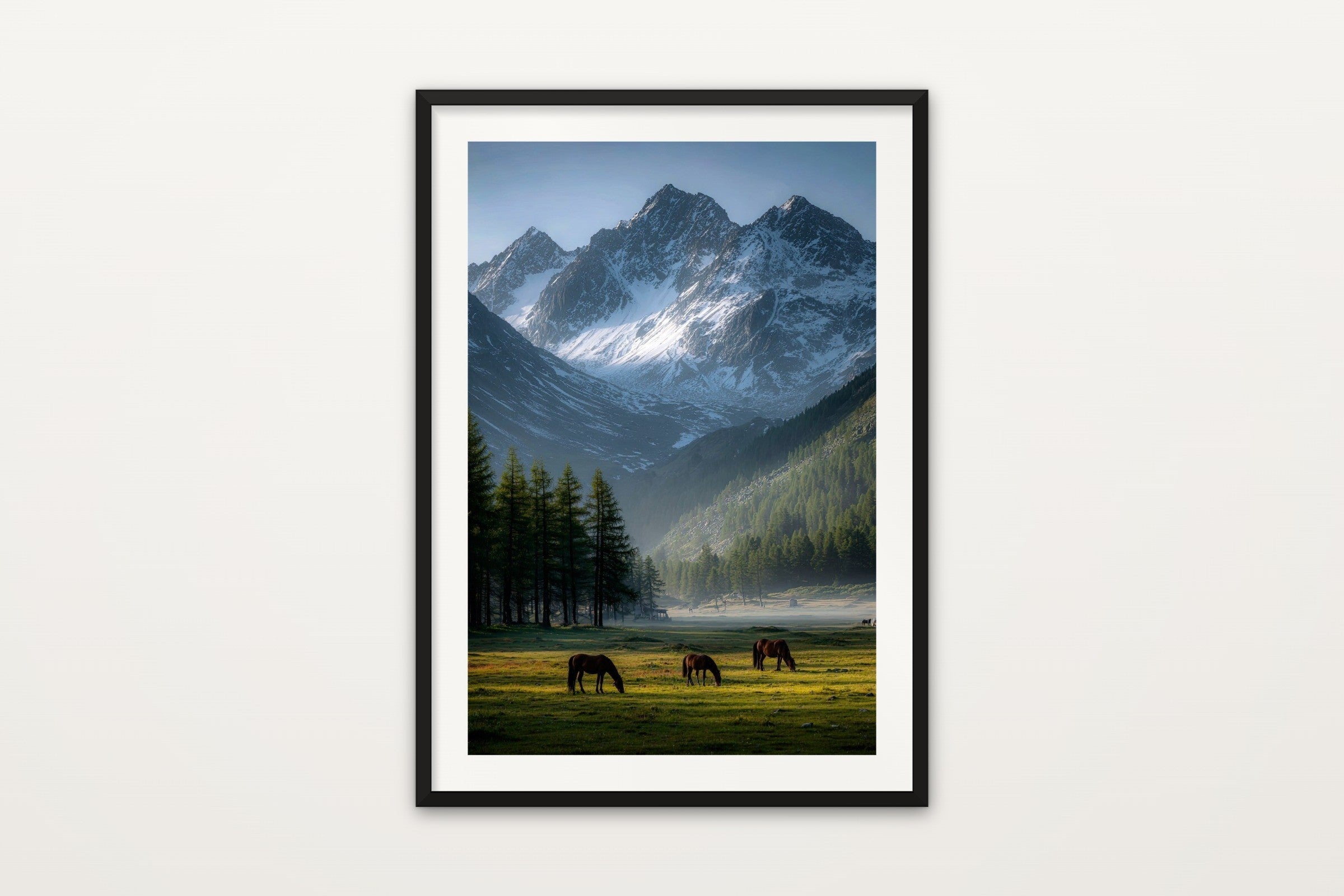 Horses in the Valley