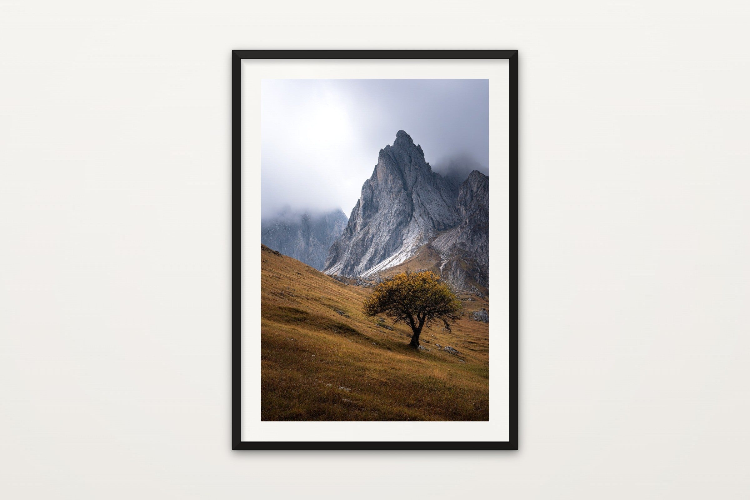 Lone Tree, Seceda