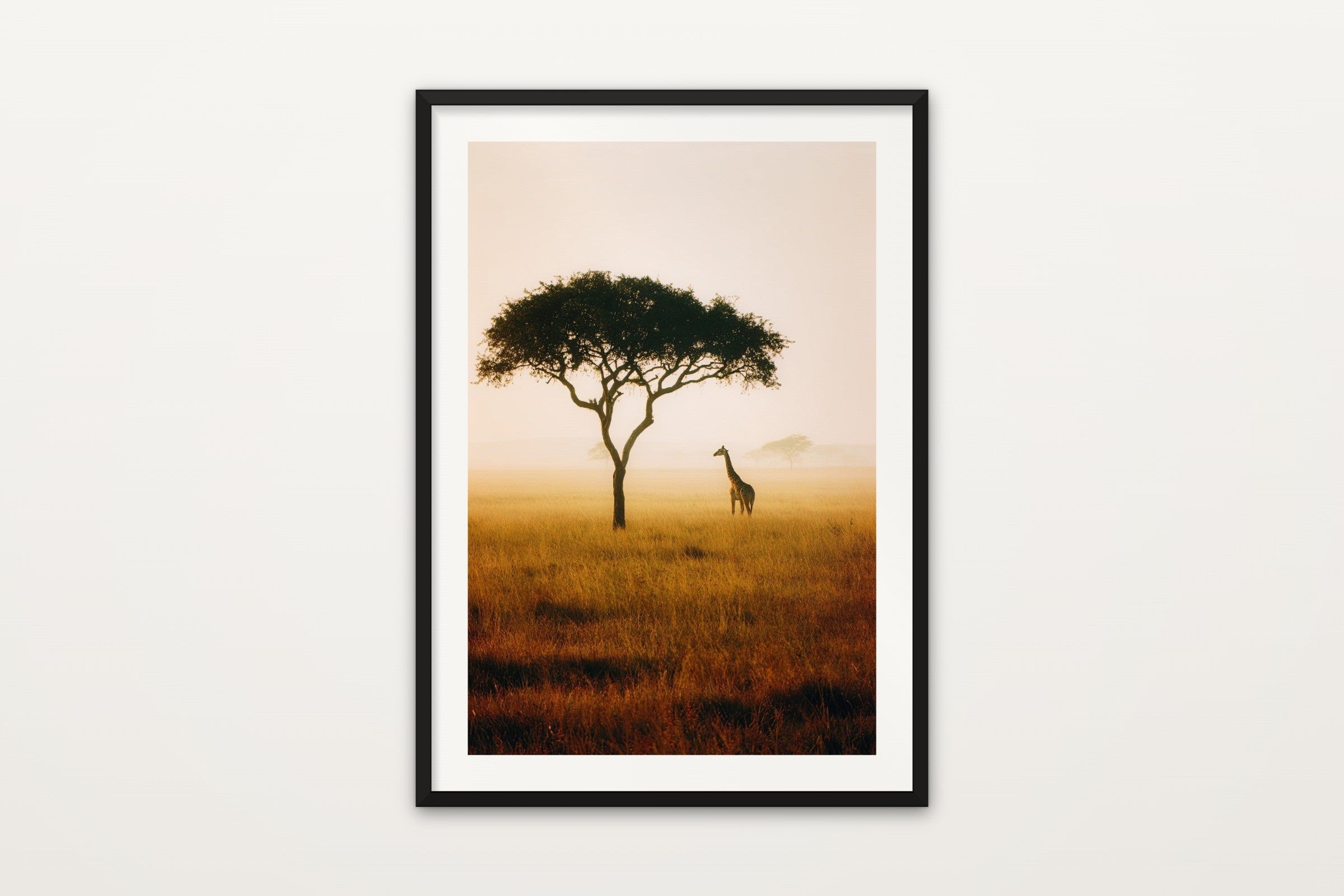 Lone Giraffe, Masai Mara