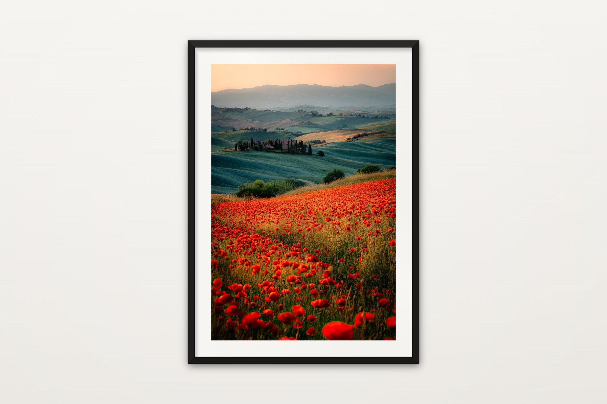 Poppy Field at Sunrise