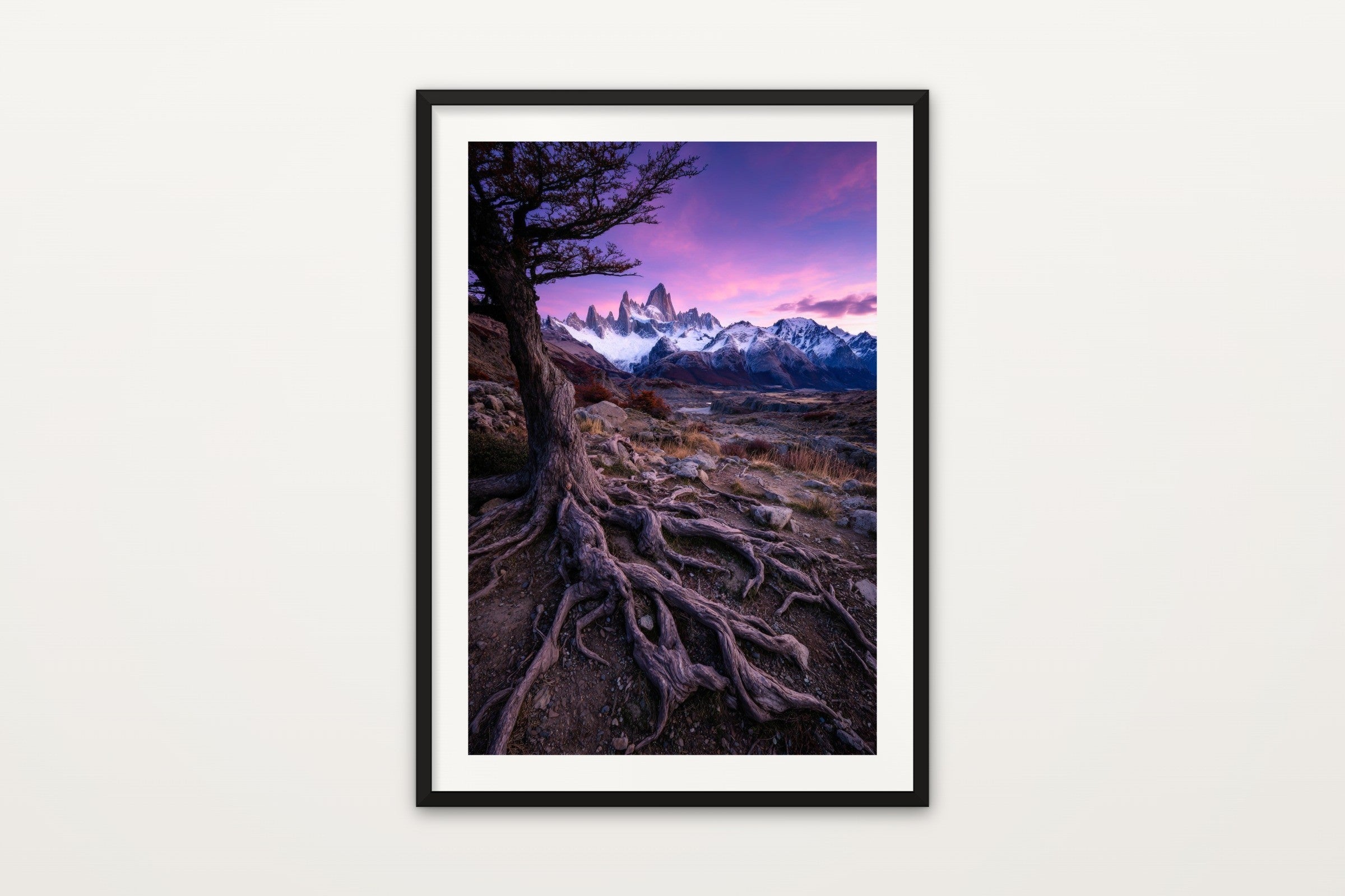 Fitz Roy in Violet