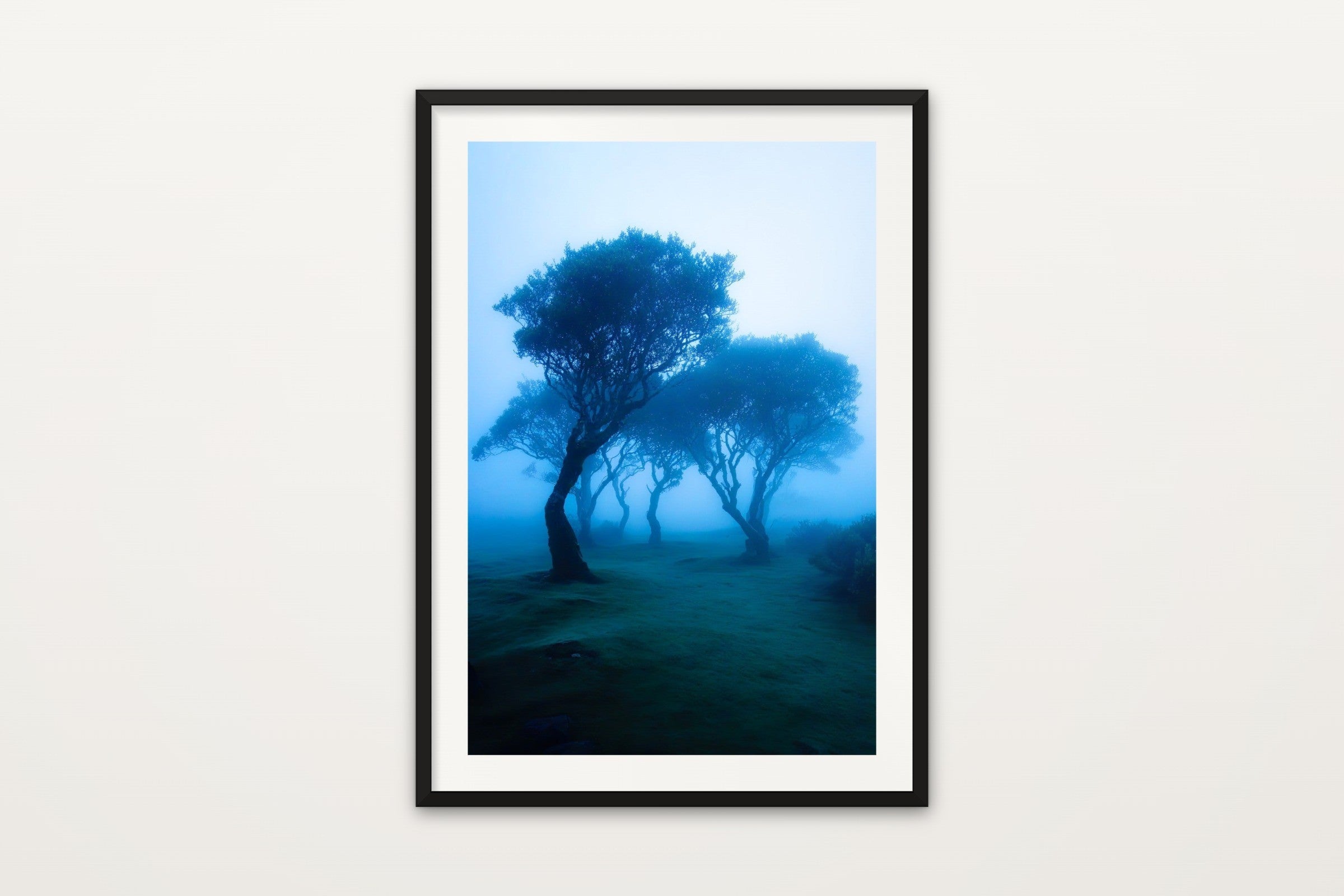 Fanal Forest