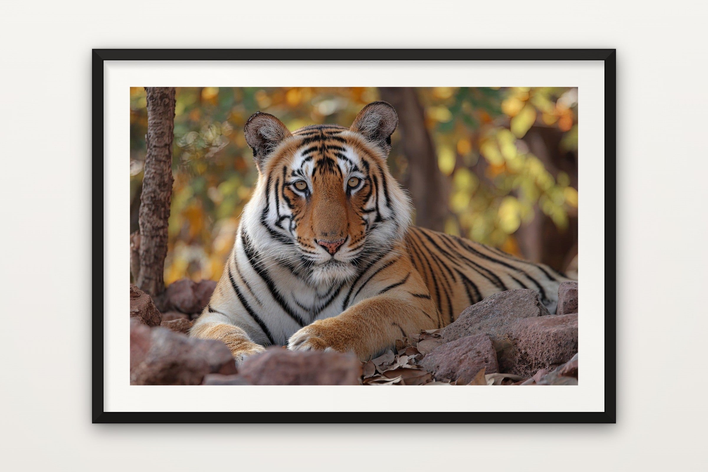 Tiger of Ranthambore