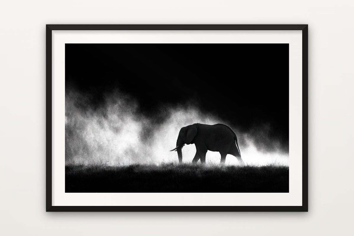 Elephant in the Dust wall art print – An African elephant walking through dust on safari, in black and white