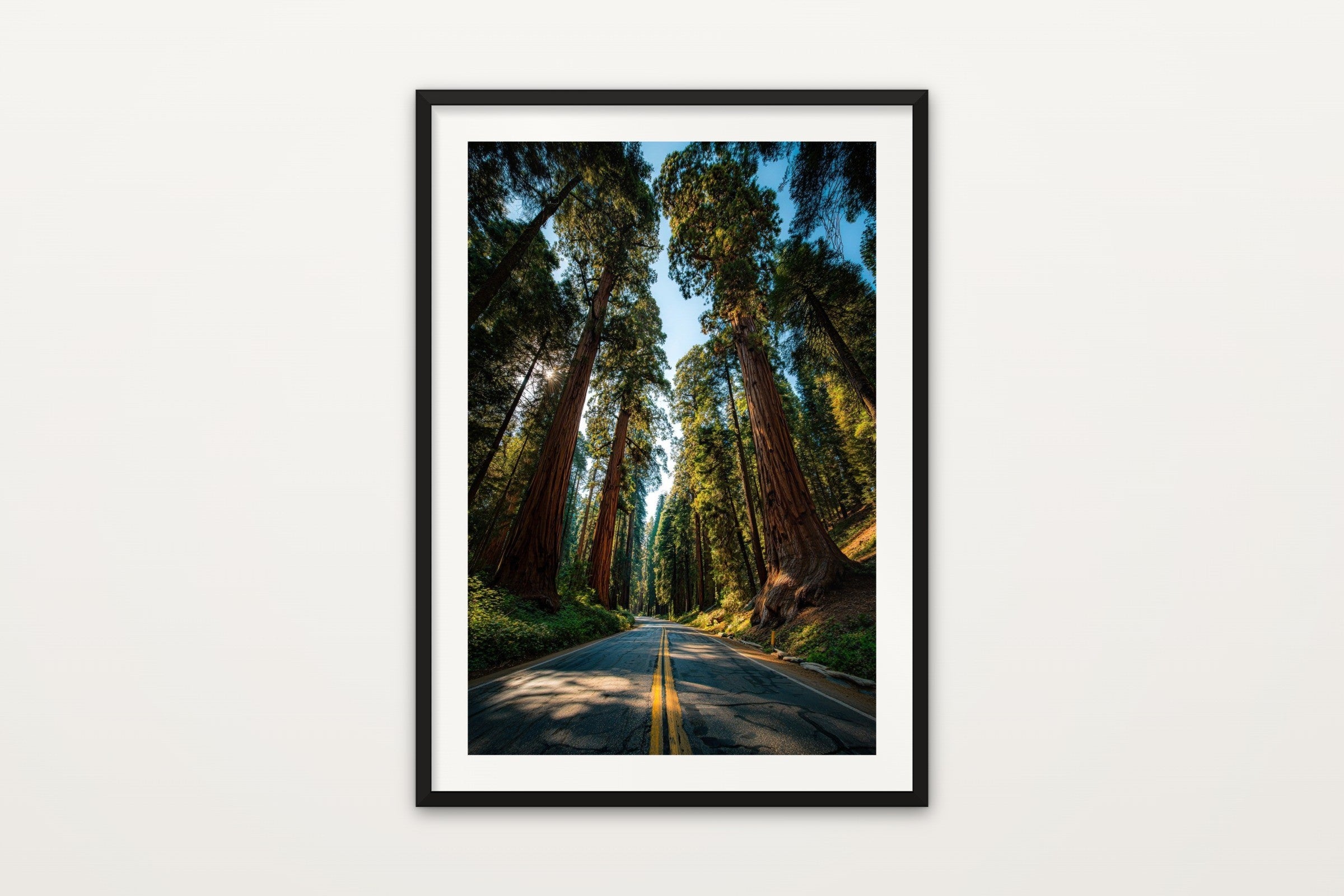 Sequoia Road