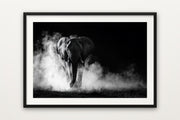 Charging Elephant