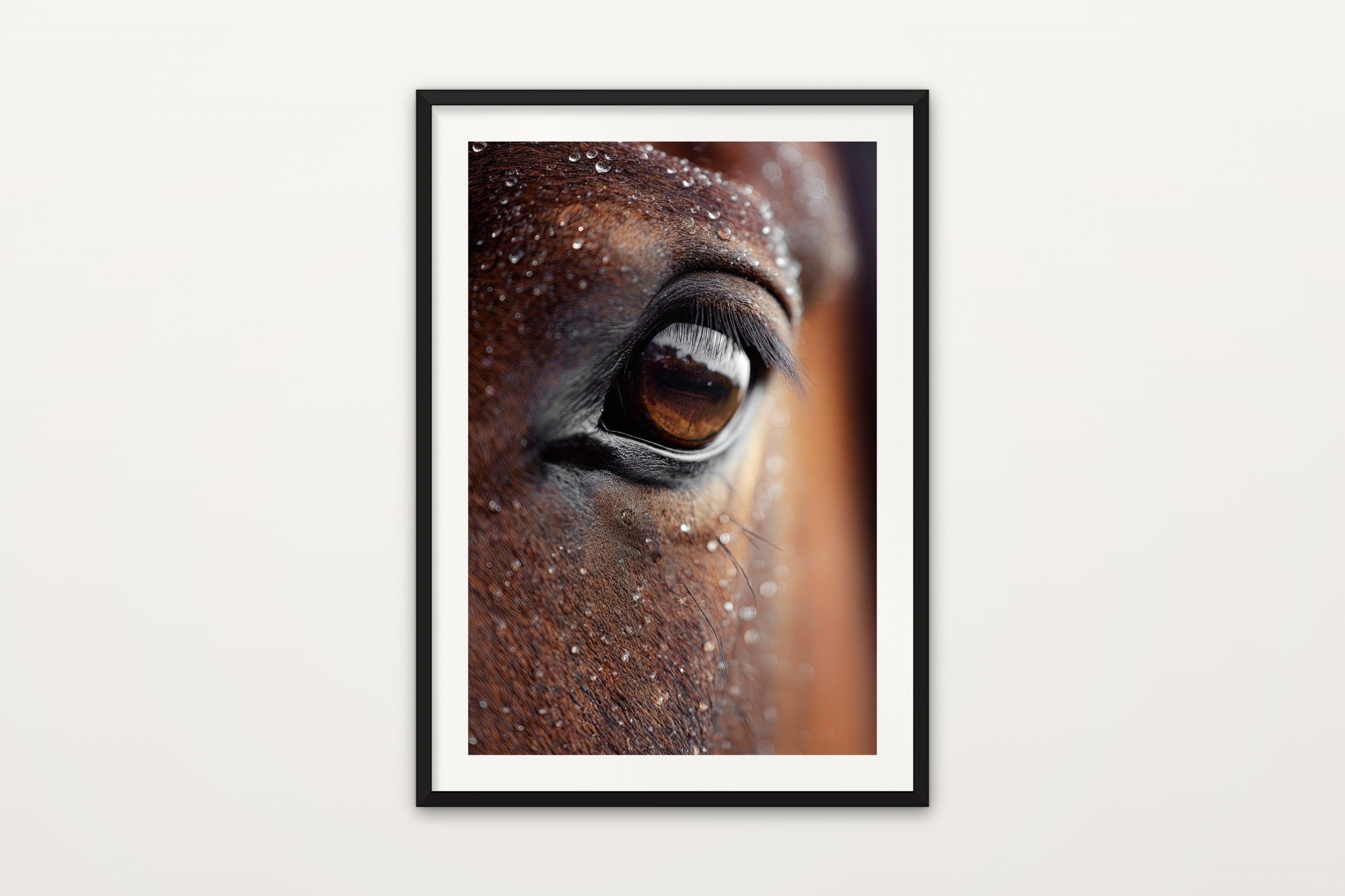 Horse in the Rain