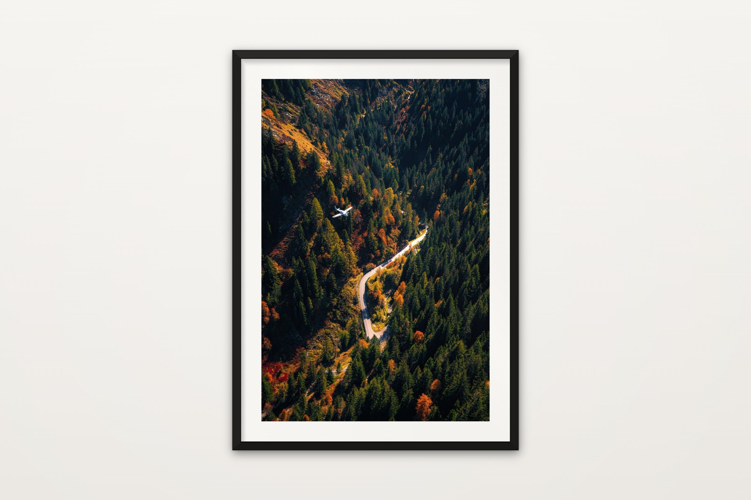 Flight over the Alps