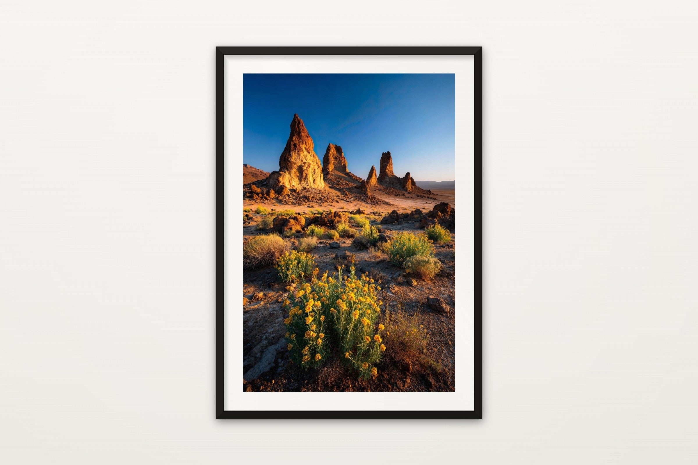 Trona Pinnacles