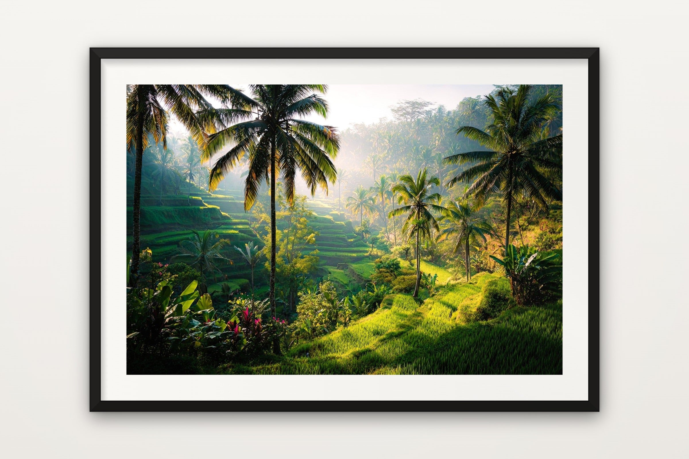 Bali Rice Fields