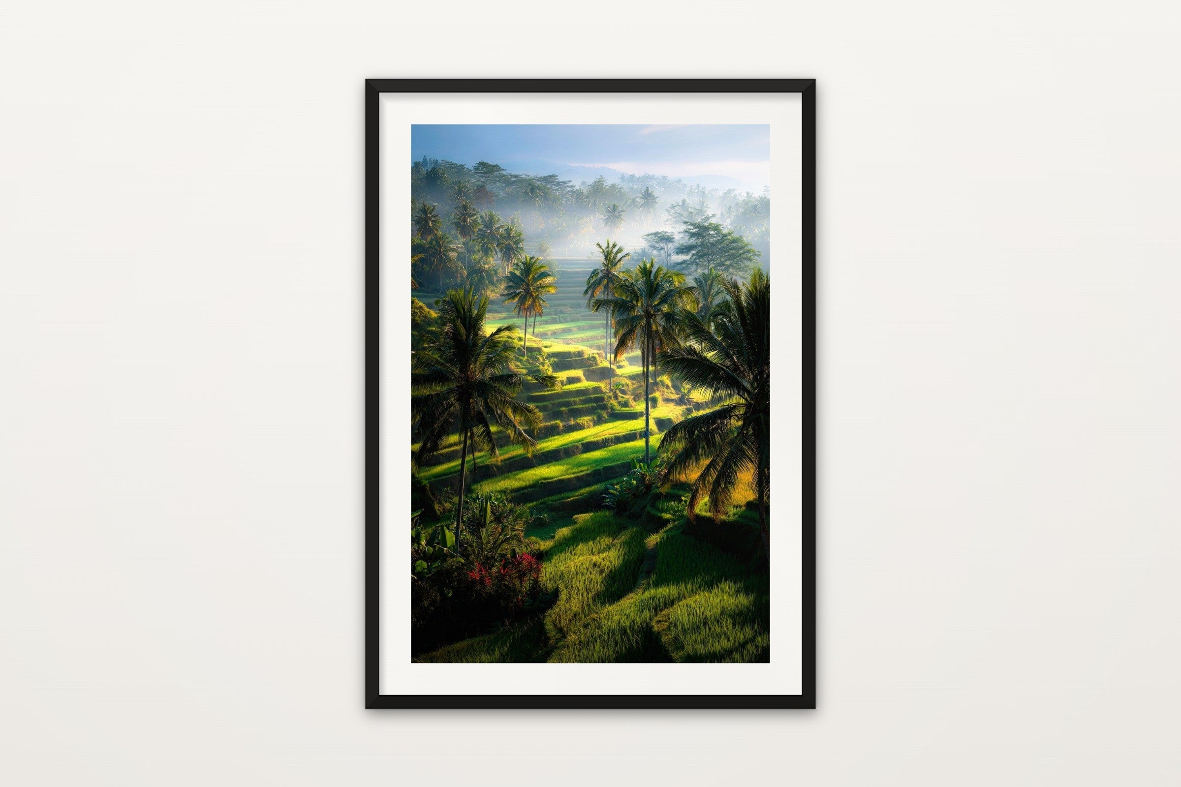 Bali Rice Terraces