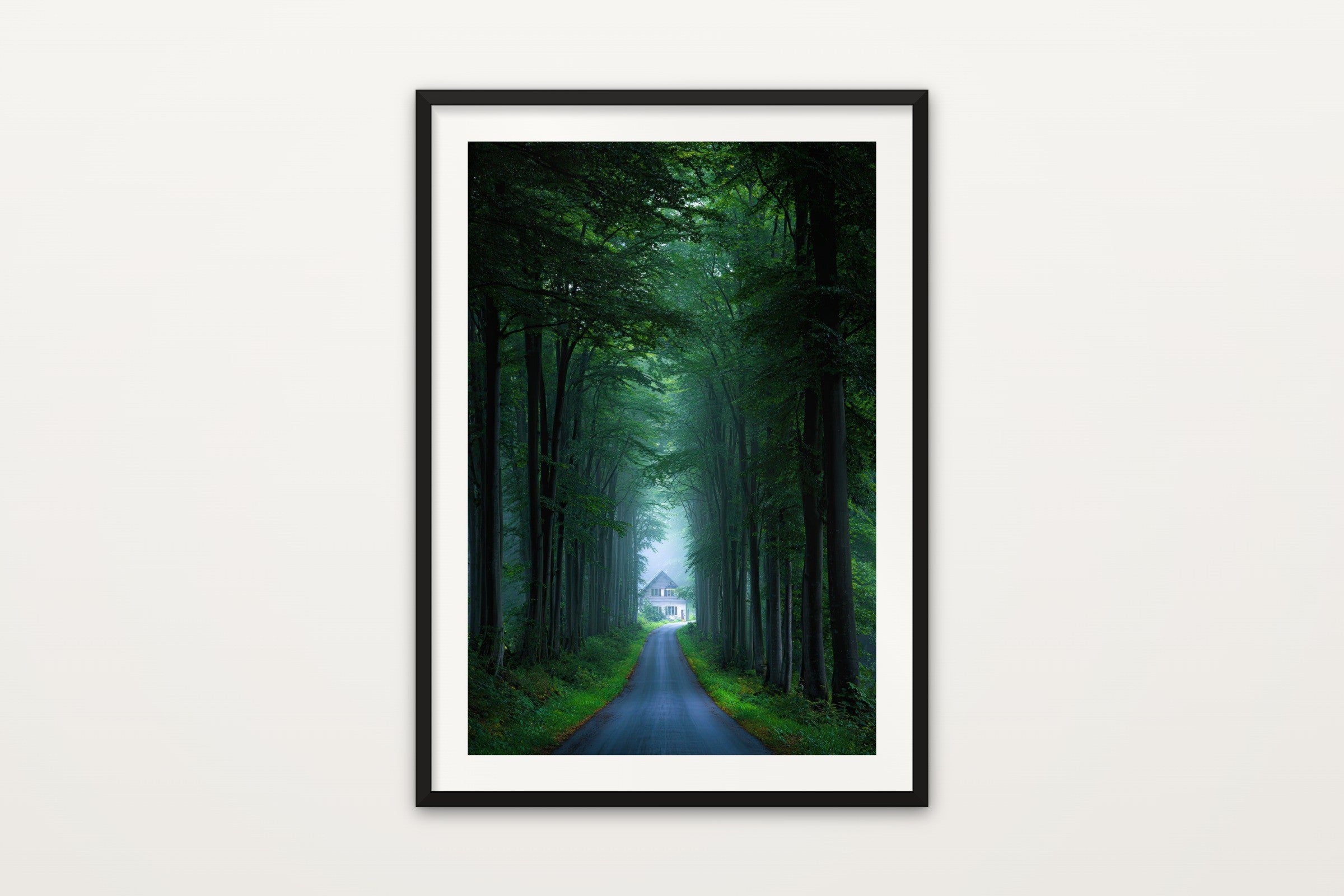 Beech Forest Road