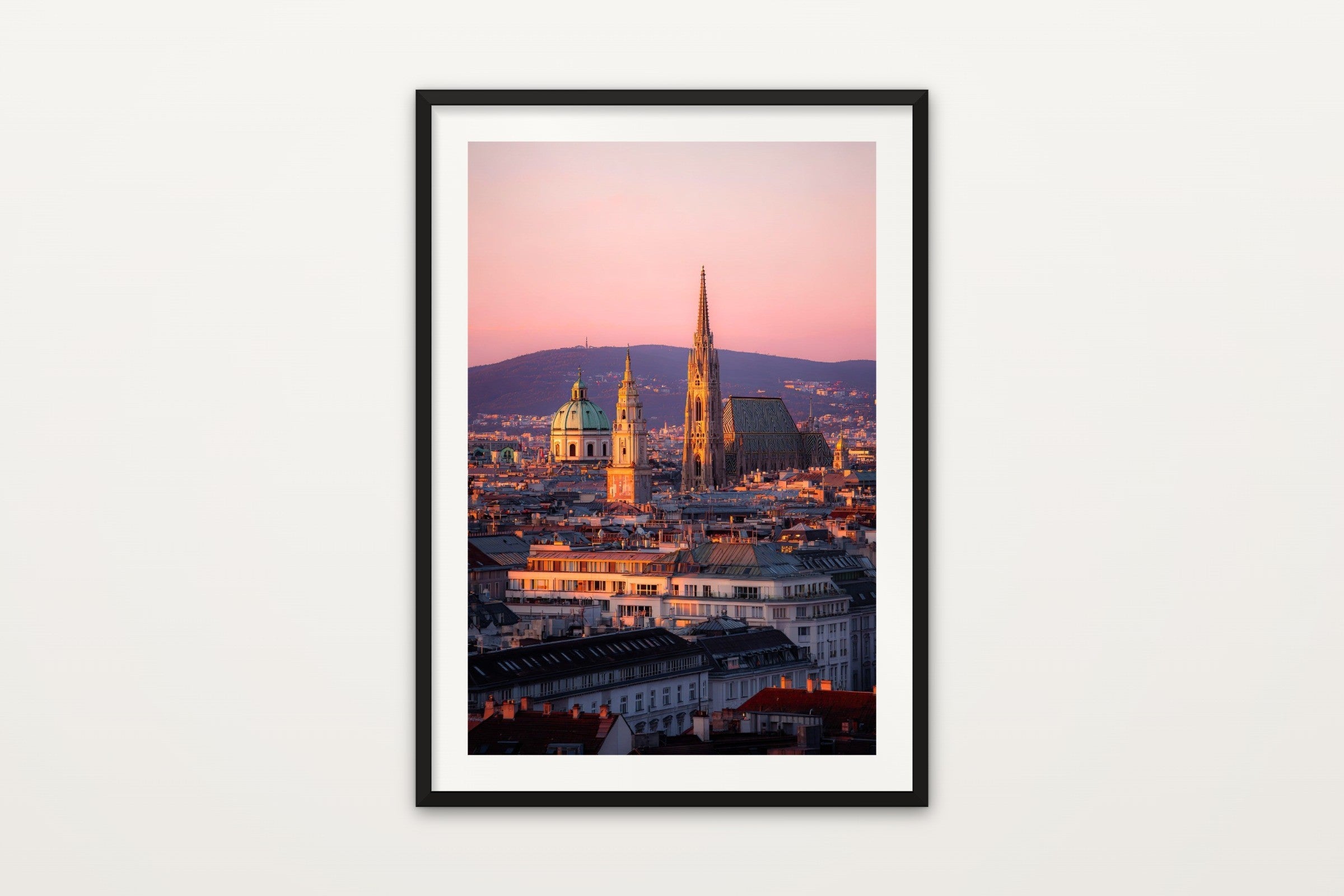 Vienna in Pink
