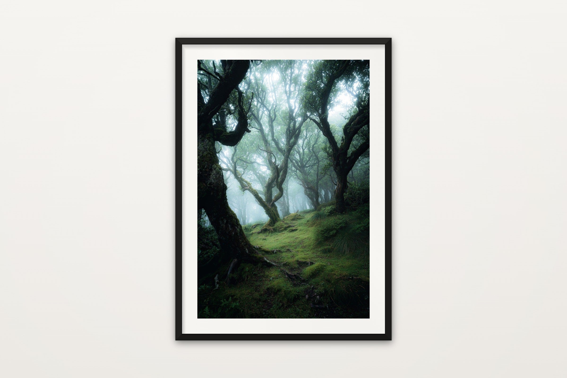 Fanal Laurel Forest