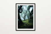Fanal Laurel Forest