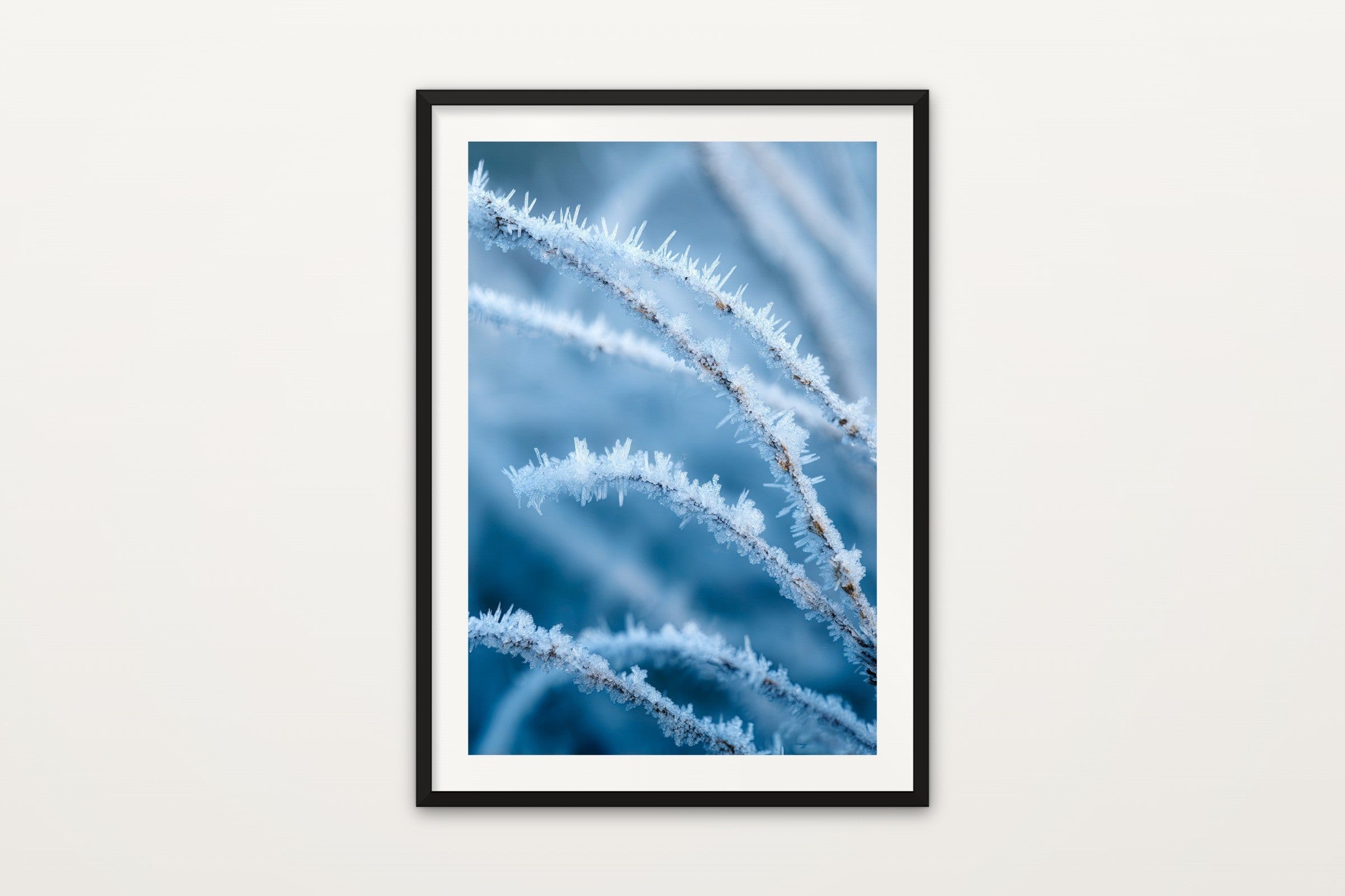 Frost Crystals