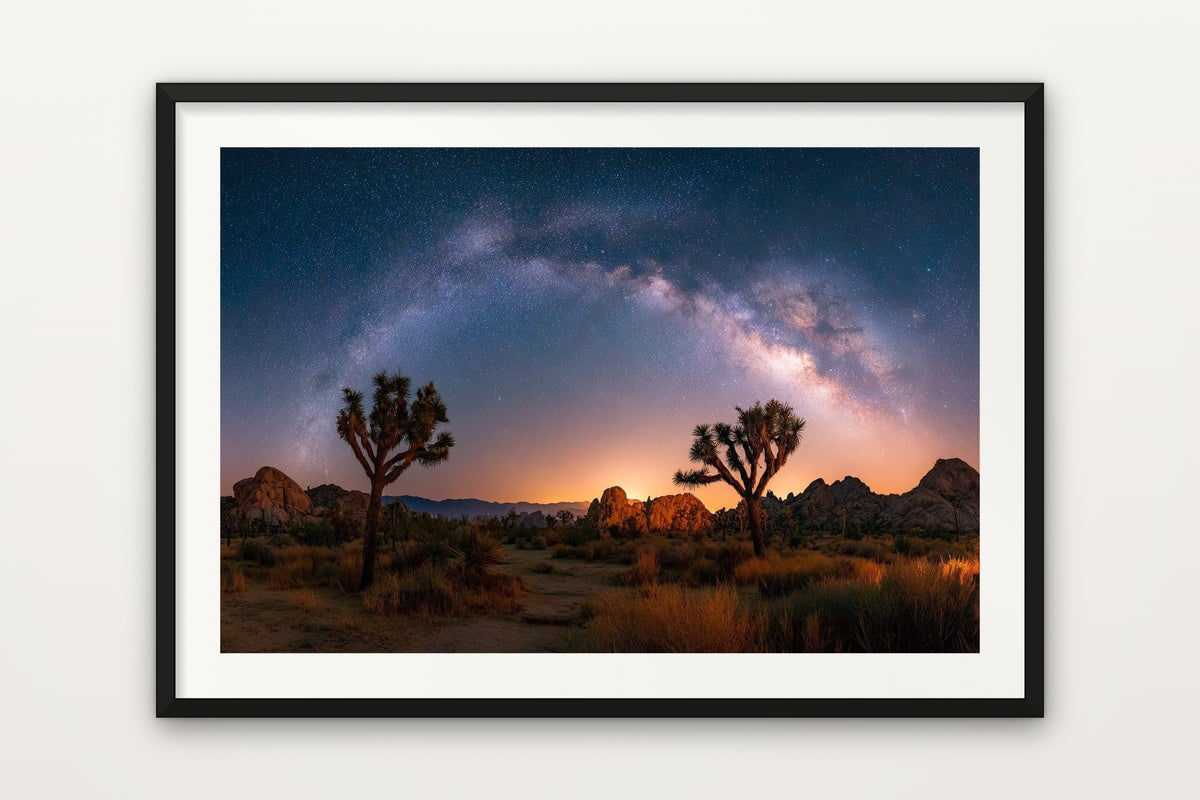 Joshua Tree Galaxy