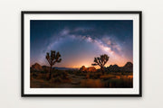 Joshua Tree Galaxy