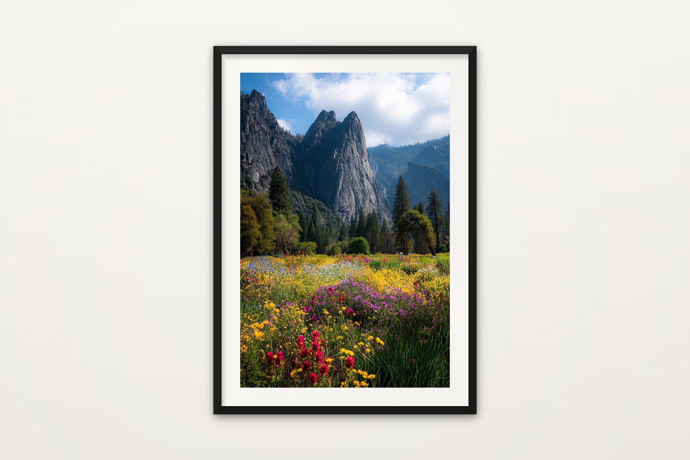 Yosemite Wildflowers