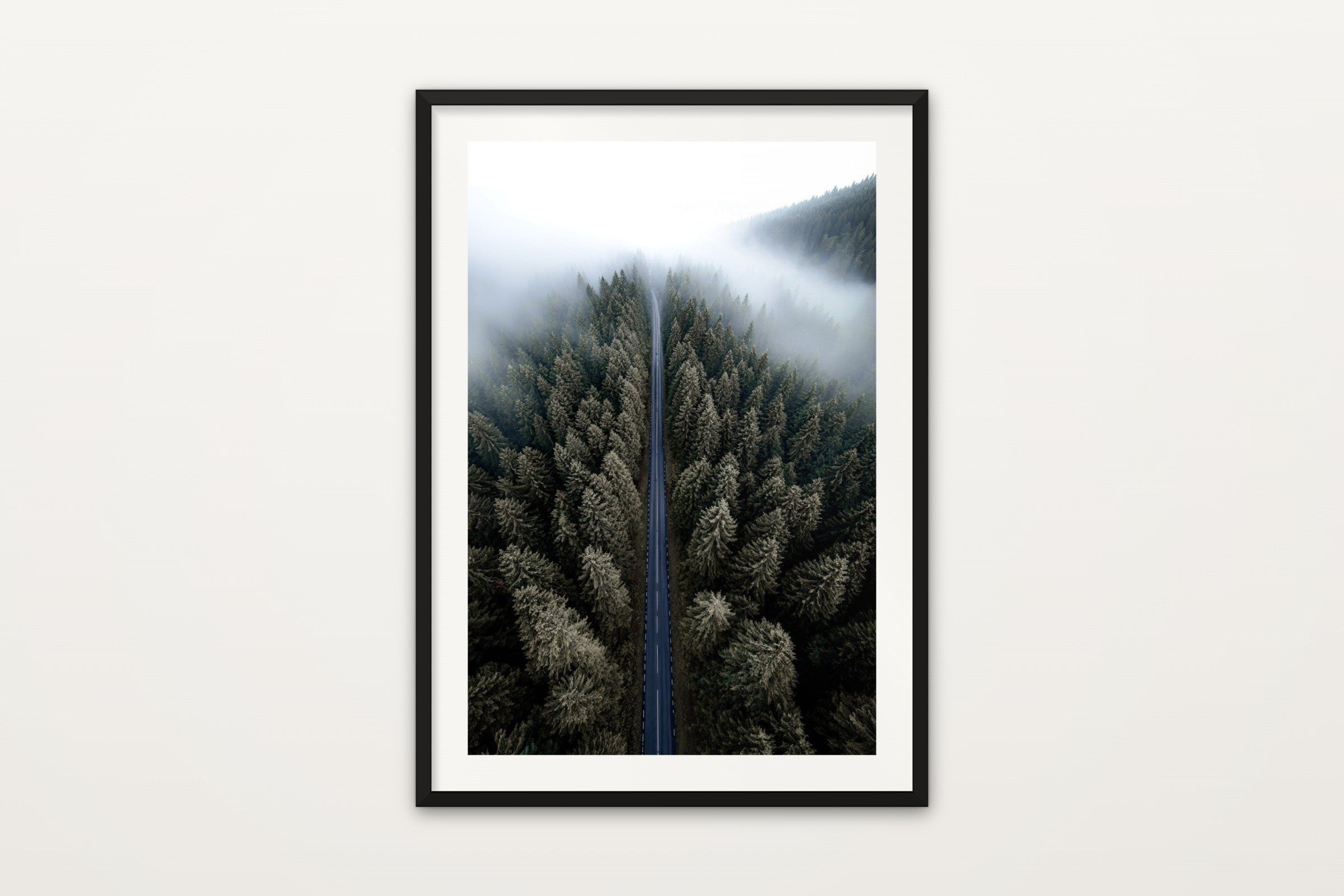 Misty Forest Road