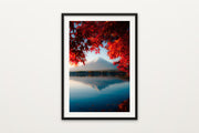 Fuji Through Maple