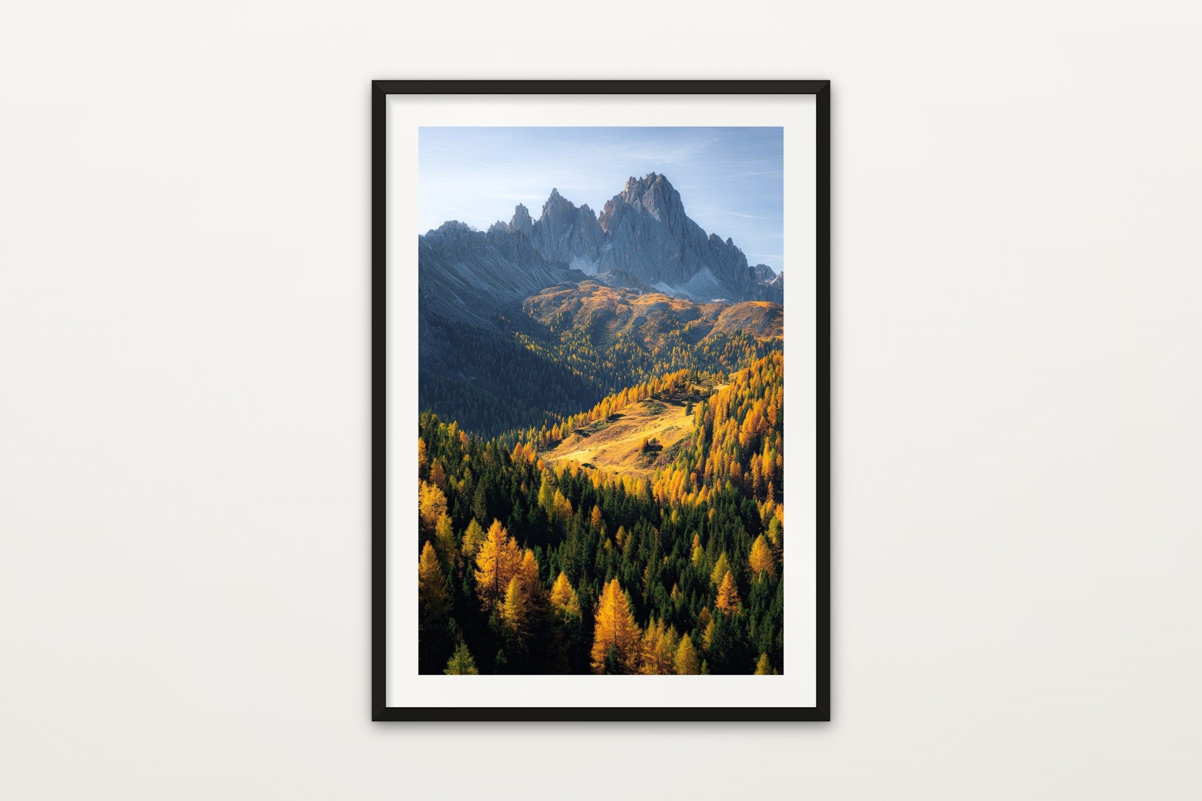 Golden Larch Forest