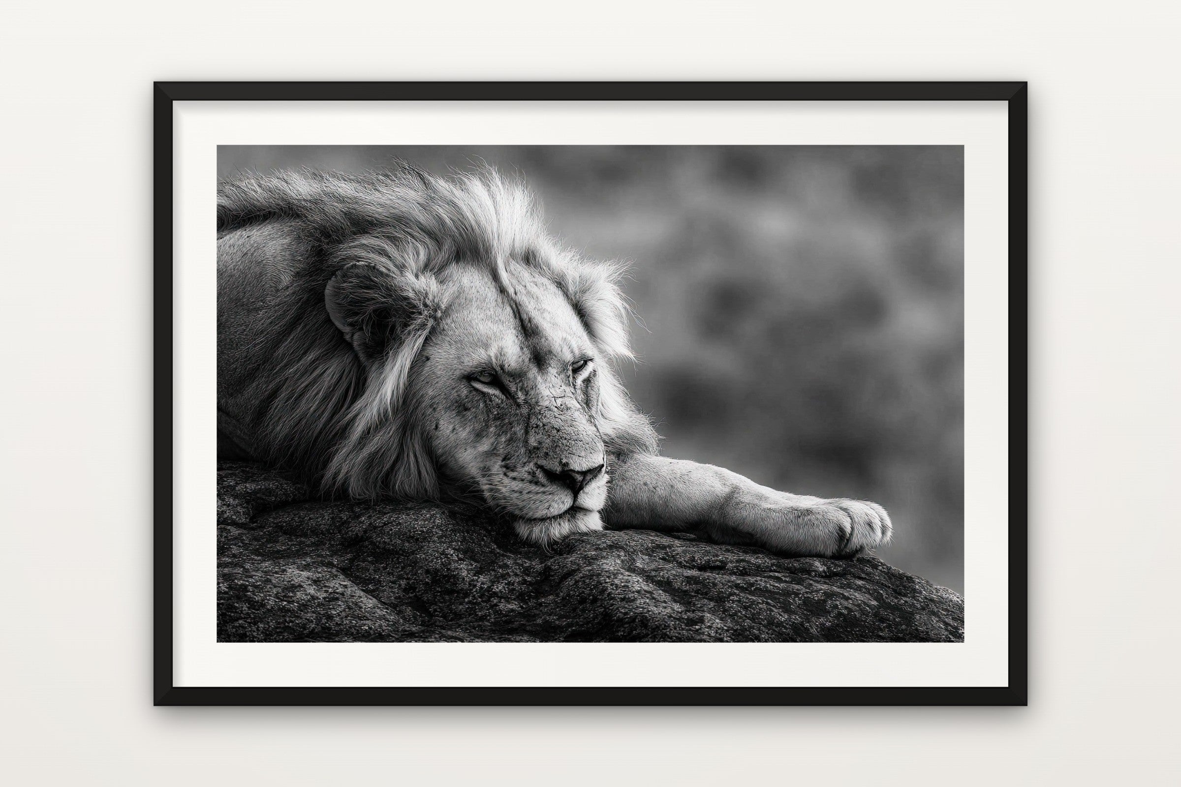 White Lion