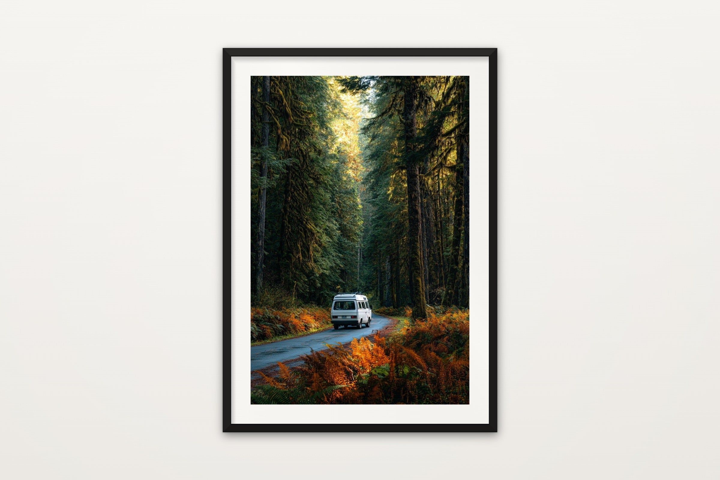 Van Life, Olympic Forest