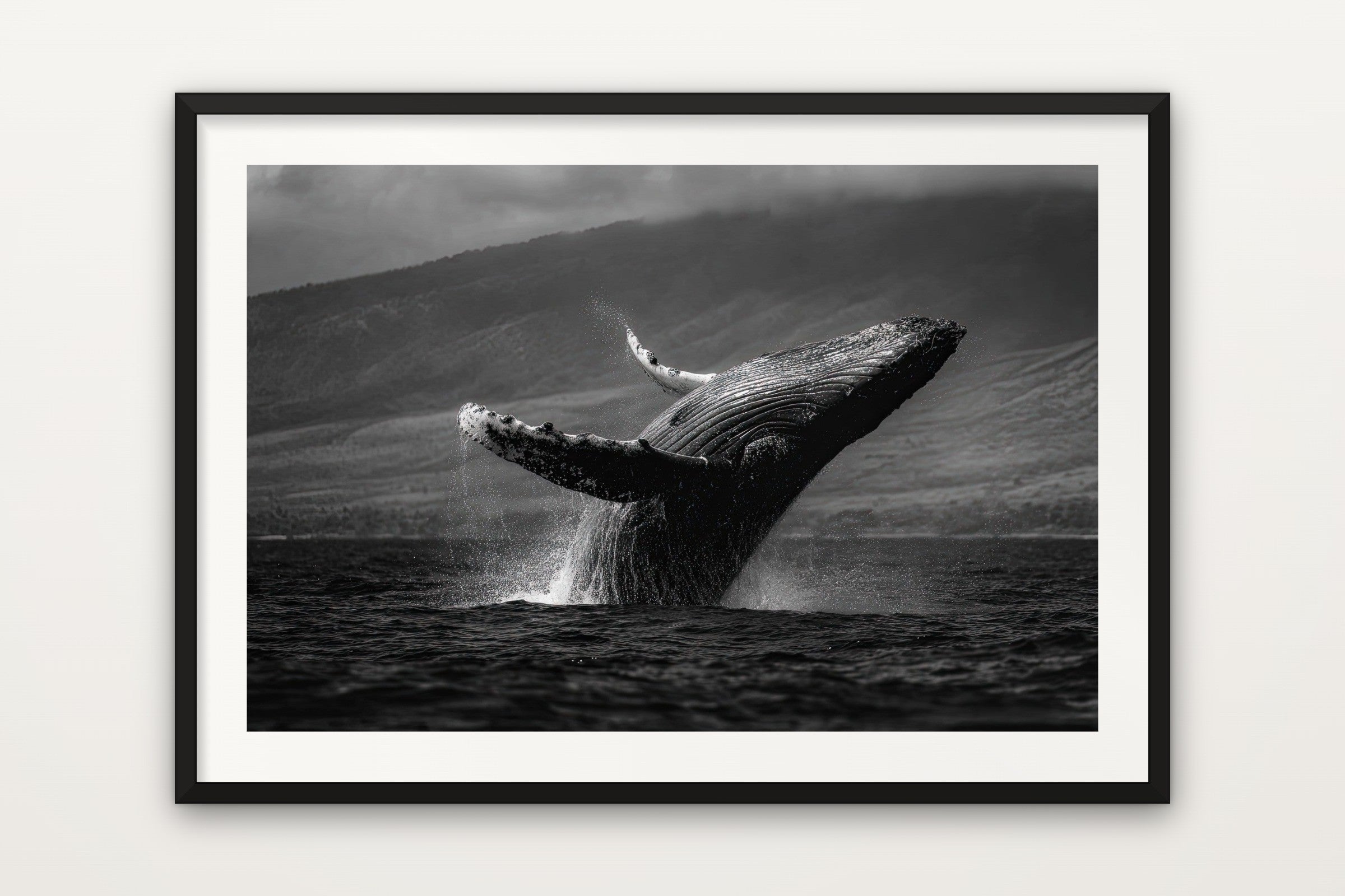 Whale Breach
