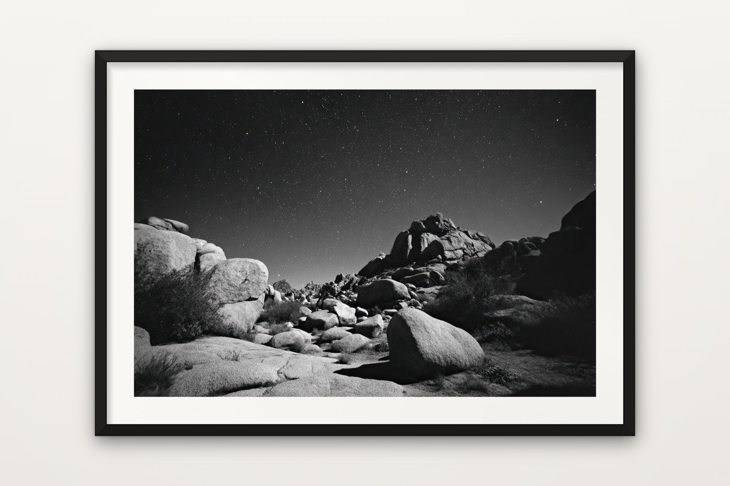 Joshua Tree in Monochrome
