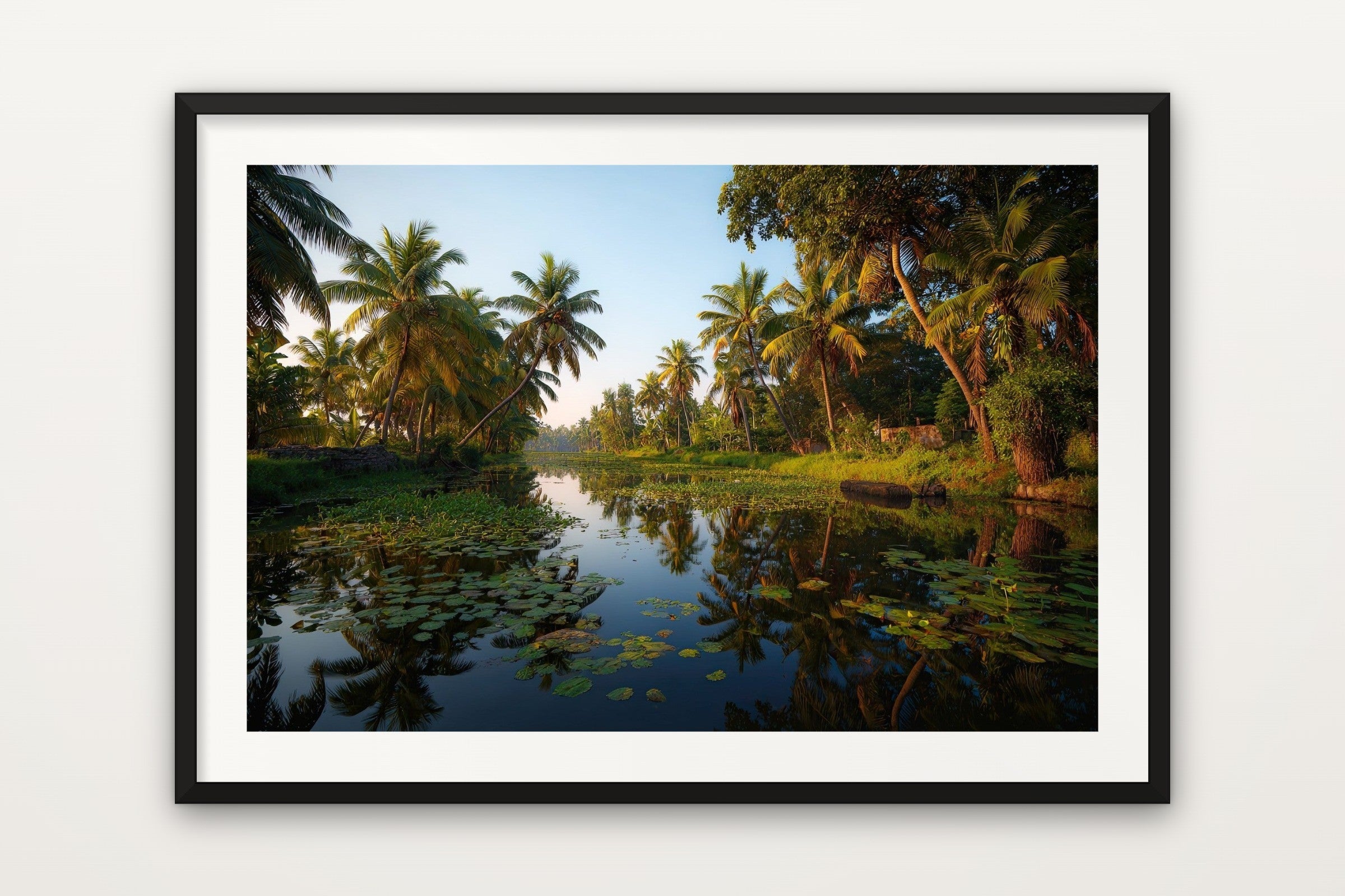 Kerala Palm Reflections